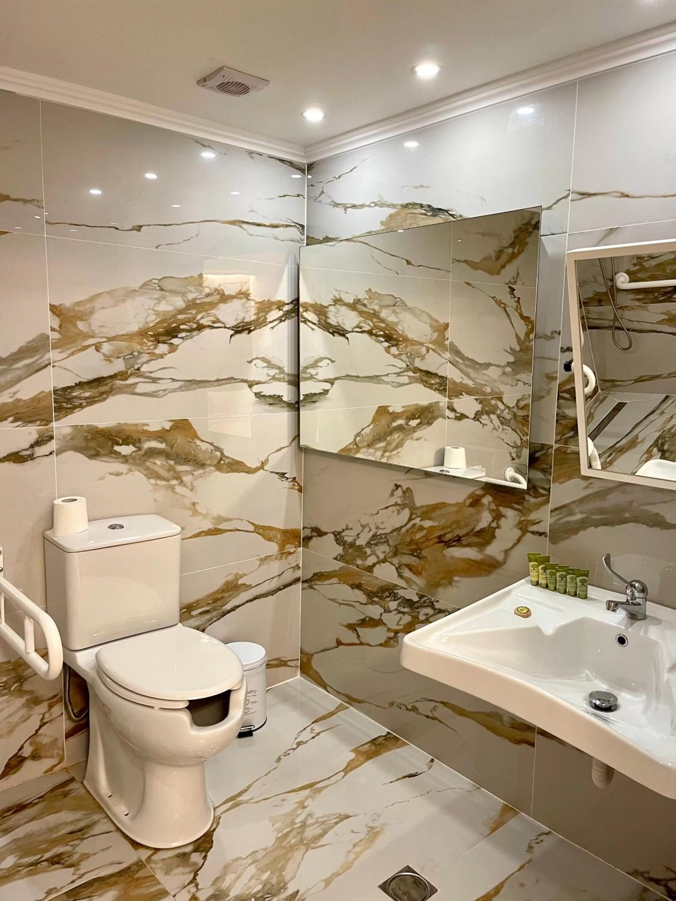 Toilet in Aesthesis Arxontiko Luxury Rooms