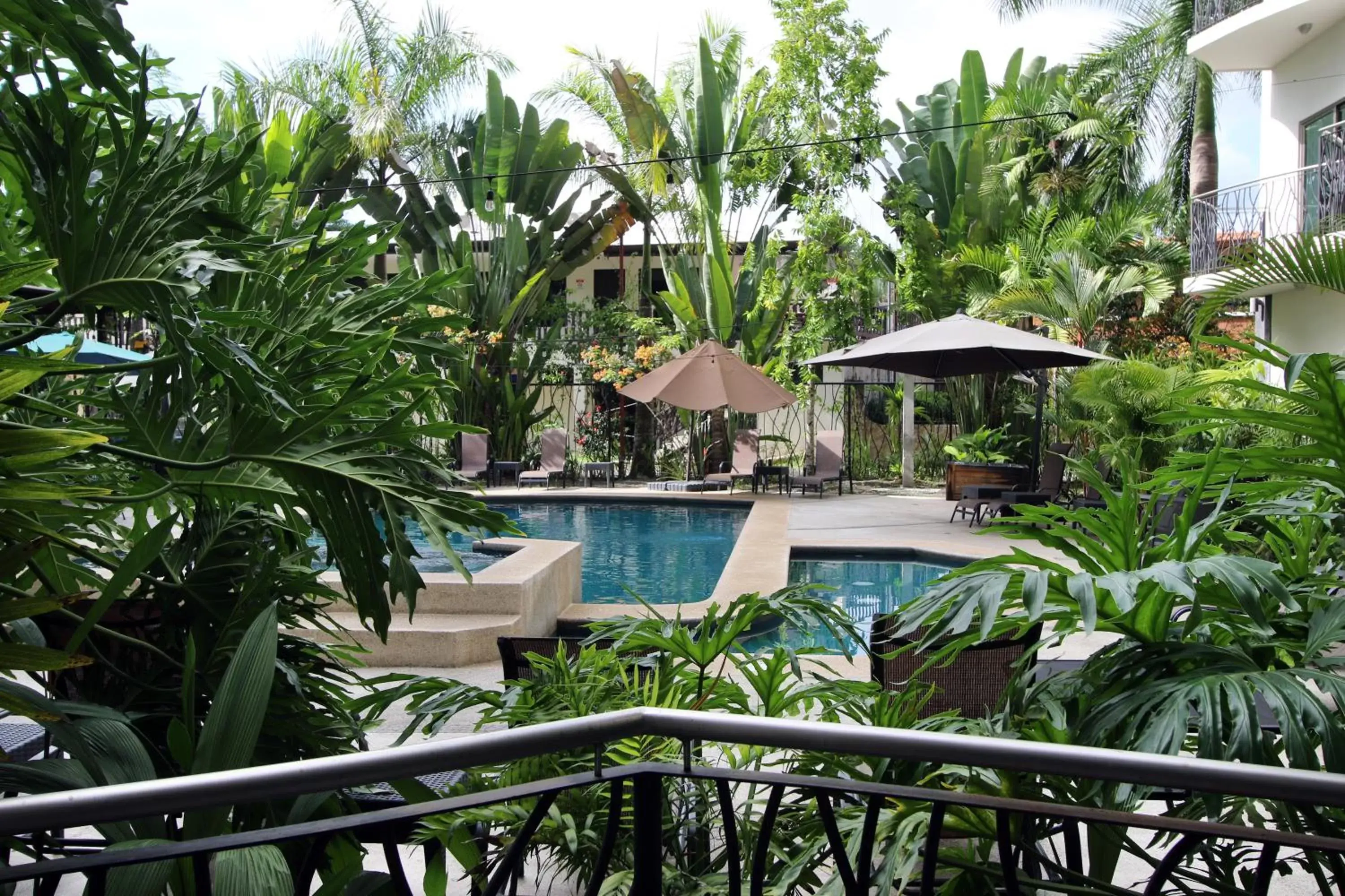 Garden, Pool View in Oceano Boutique Hotel & Gallery