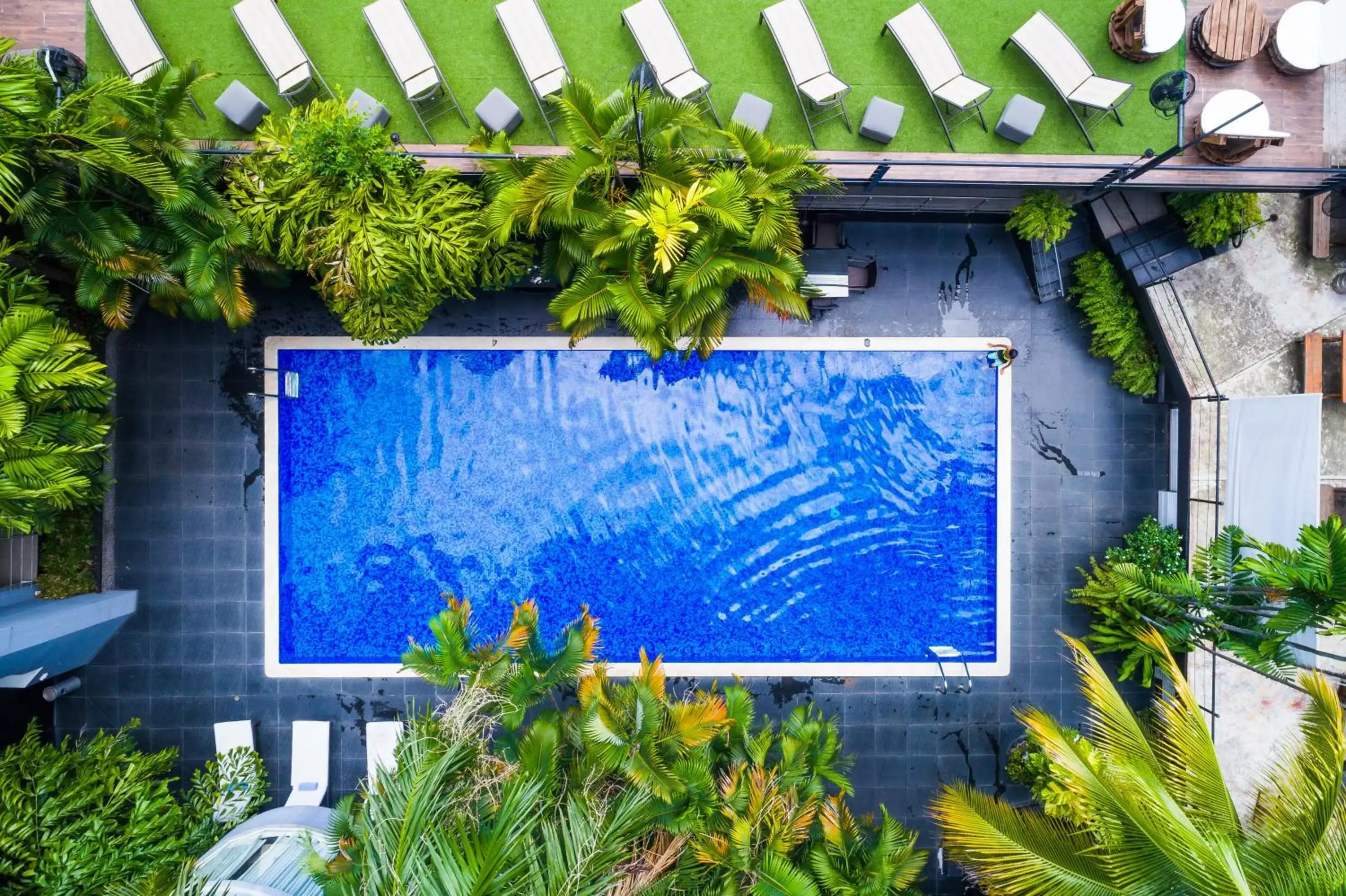 Swimming pool, Pool View in Riande Urban Hotel