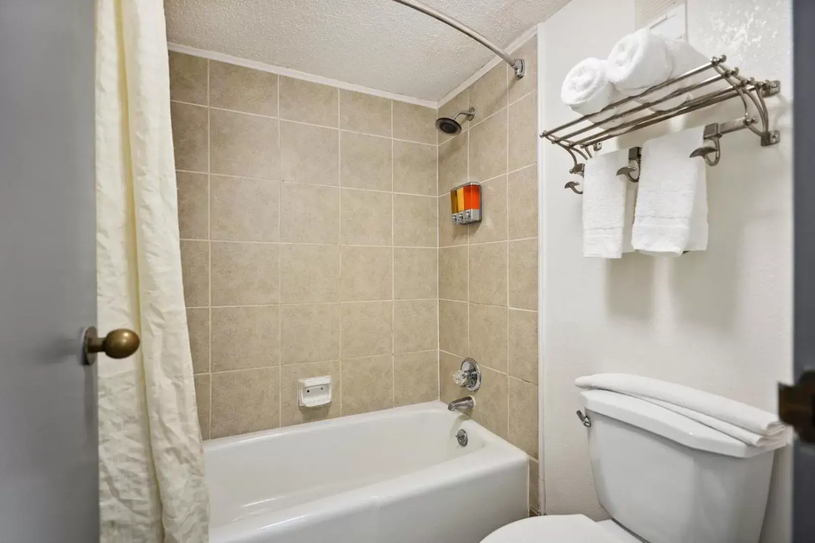 Shower, Bathroom in The Guest Lodge Gainesville