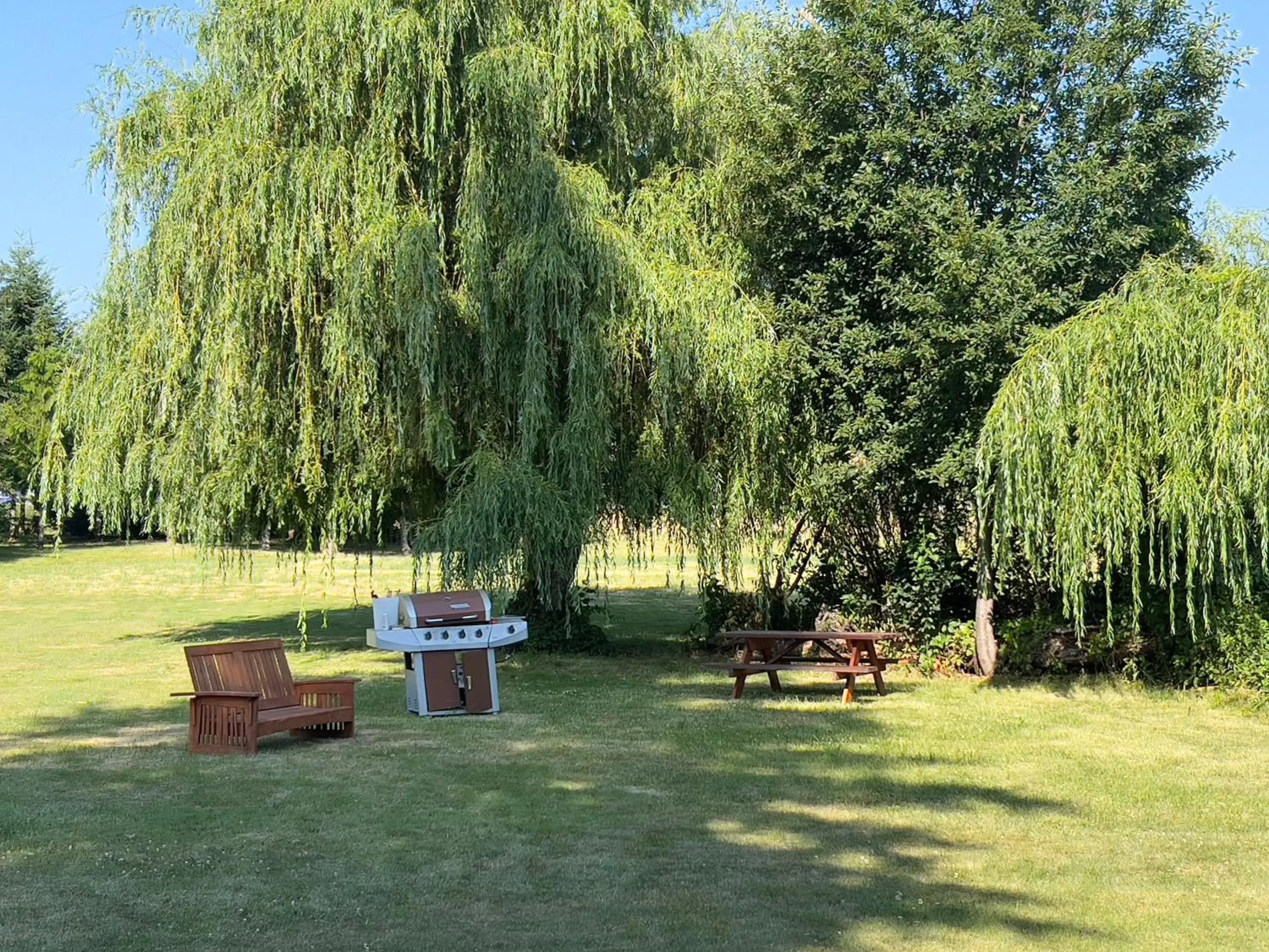 Garden in Monashee Motel