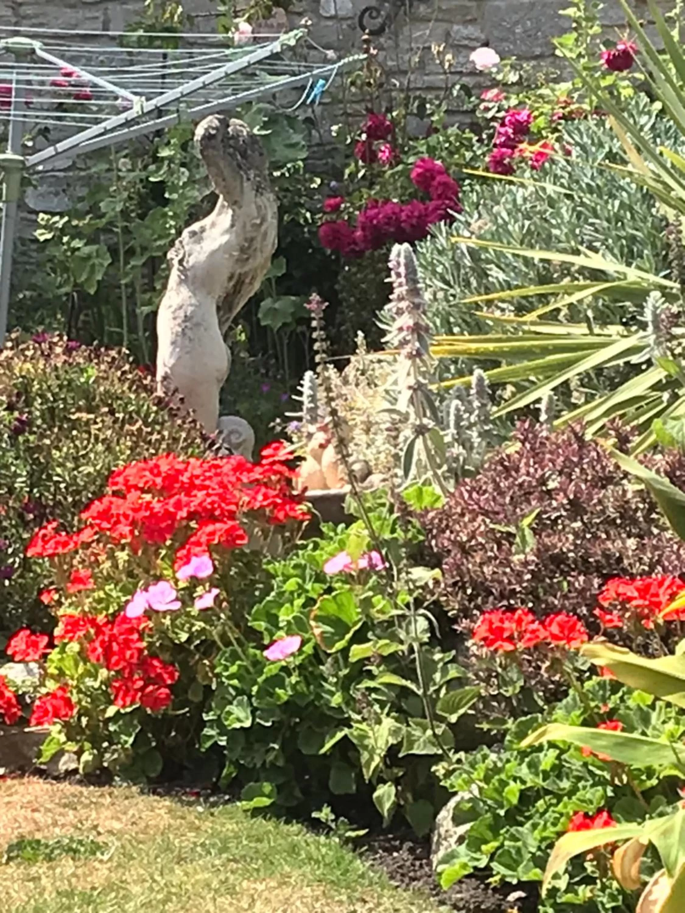 Garden view, Garden in Blue Shutters
