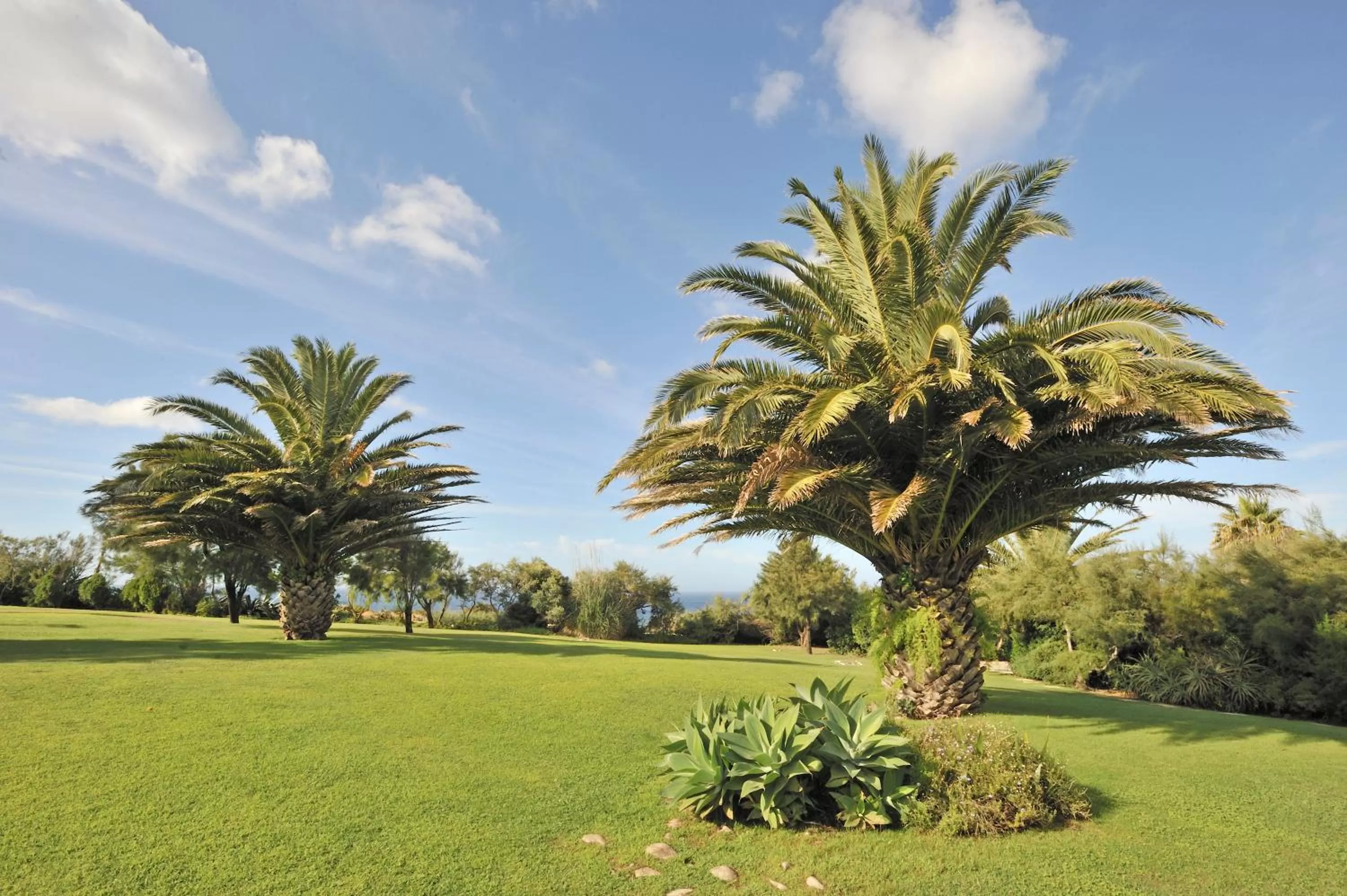 Garden in Hotel Pestana Cascais Ocean & Conference Aparthotel