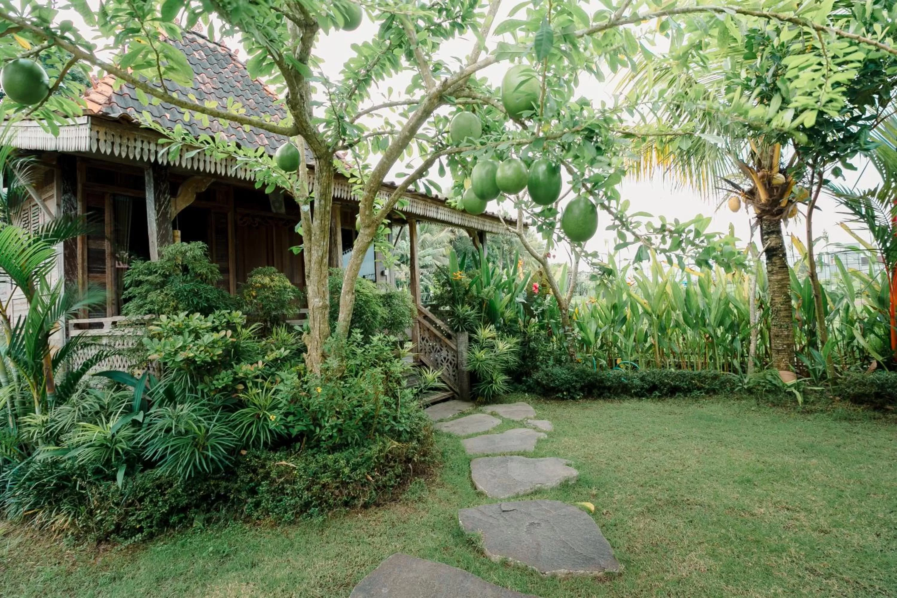 Garden in Nauna Villa Ubud