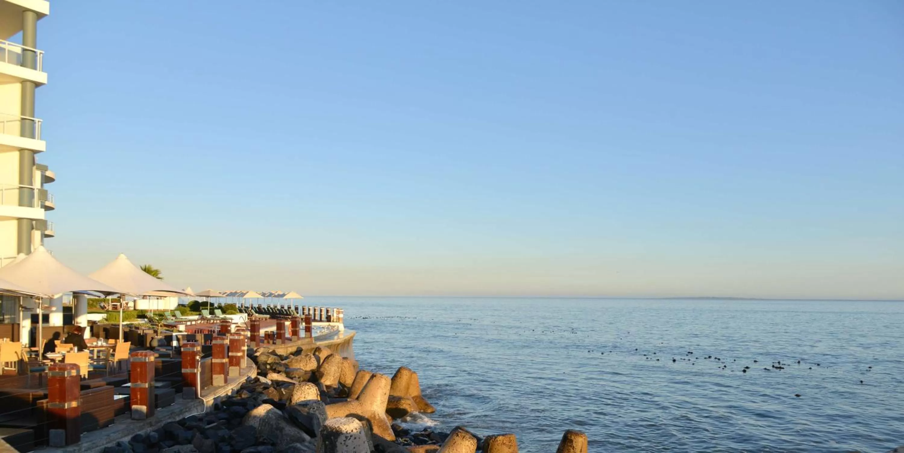 Pool view in Radisson Collection Hotel, Waterfront Cape Town