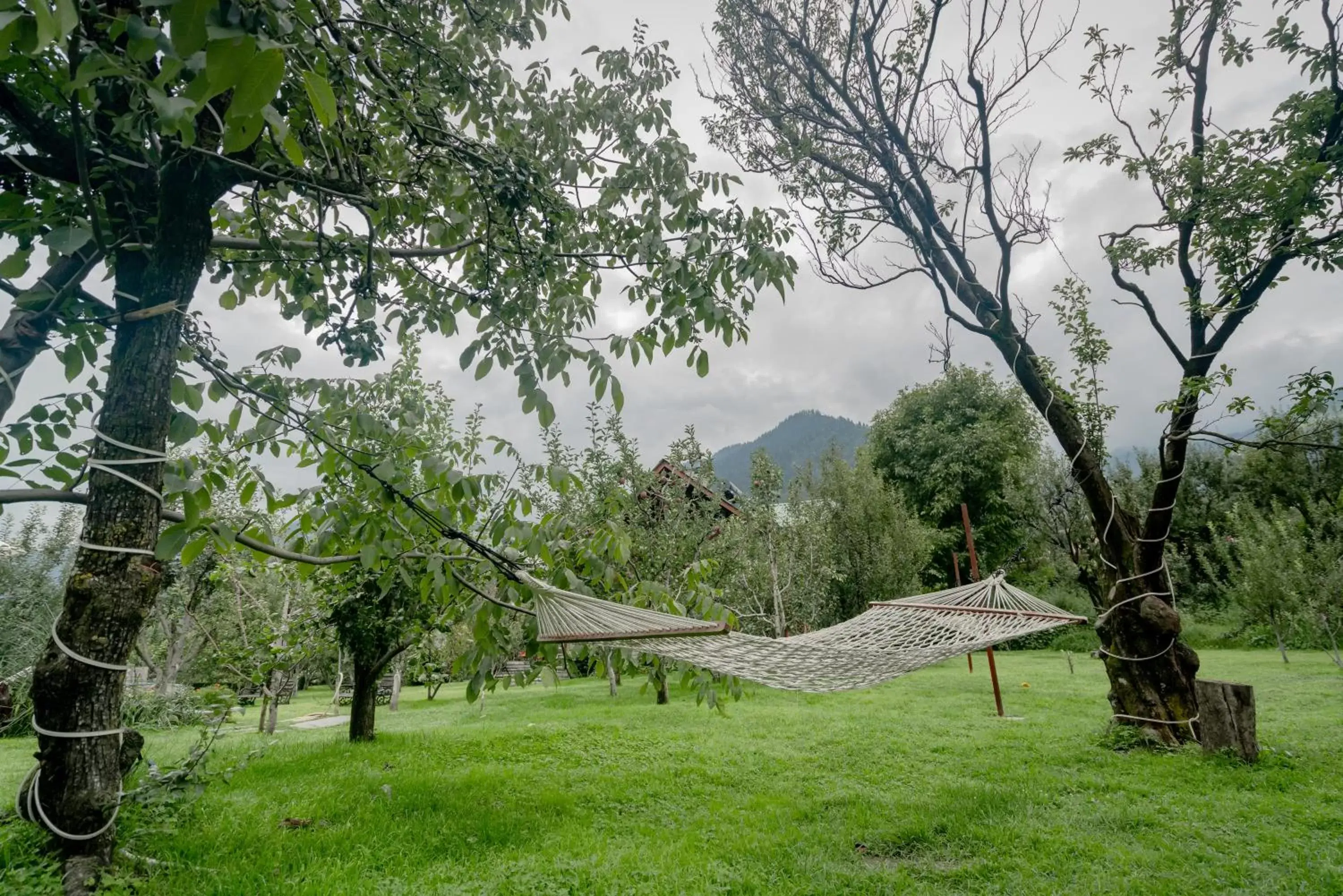 Area and facilities, Garden in Larisa Resort Manali