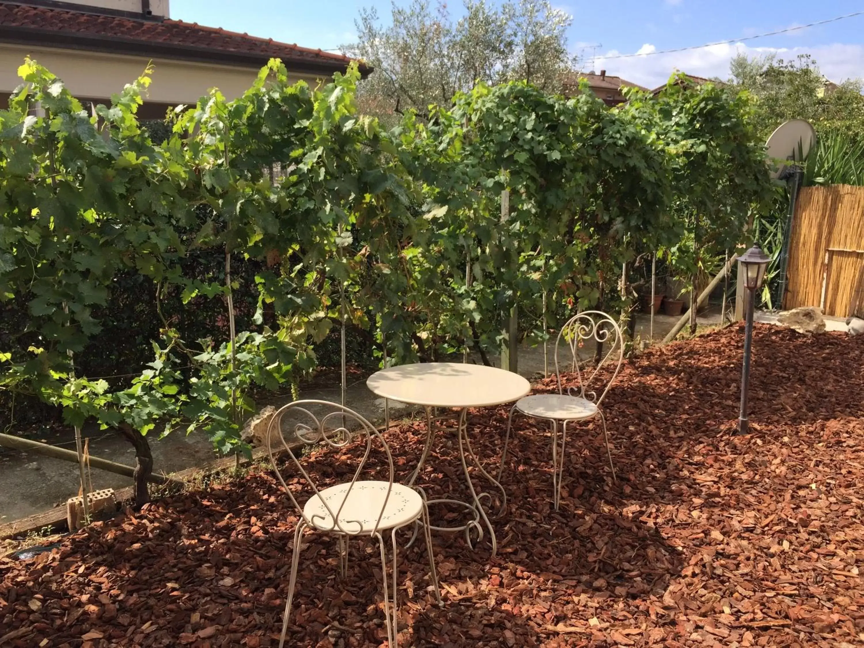 Garden in Il Casale Del Giglio