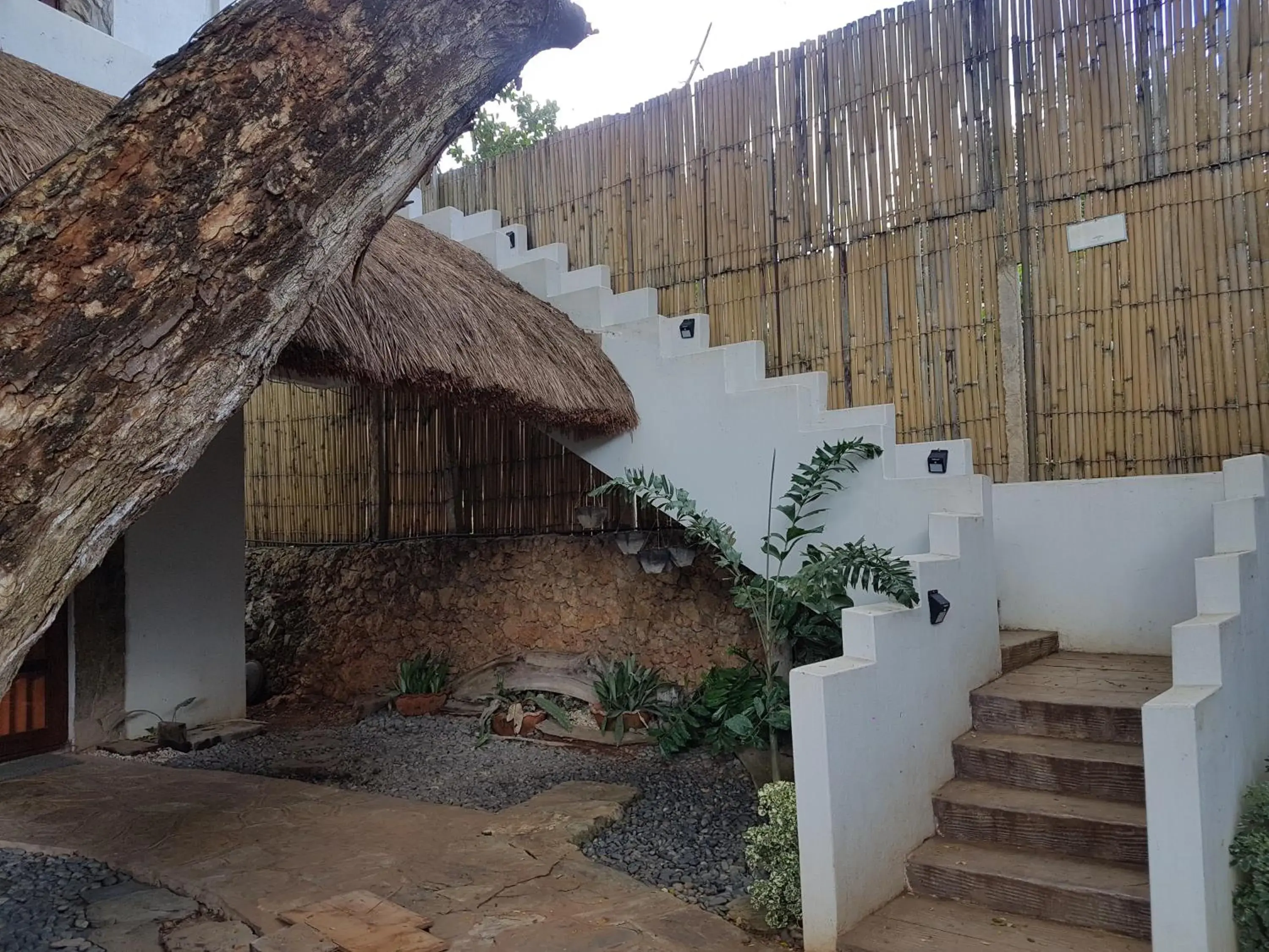 Facade/entrance in Acacia Tree Garden Hotel