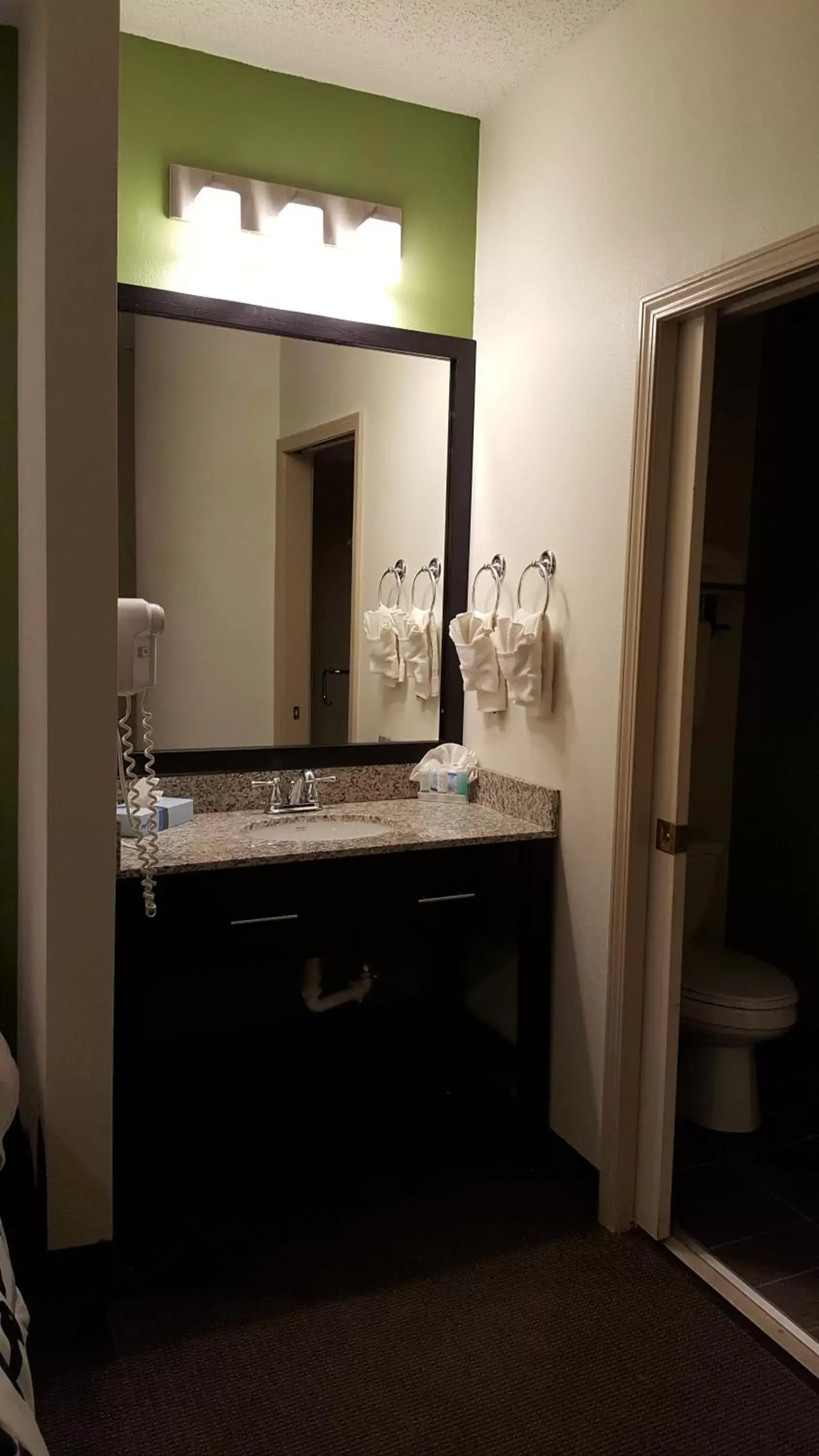 Queen Room with Roll-In Shower - Accessible/Non-Smoking in Sleep Inn Henderson