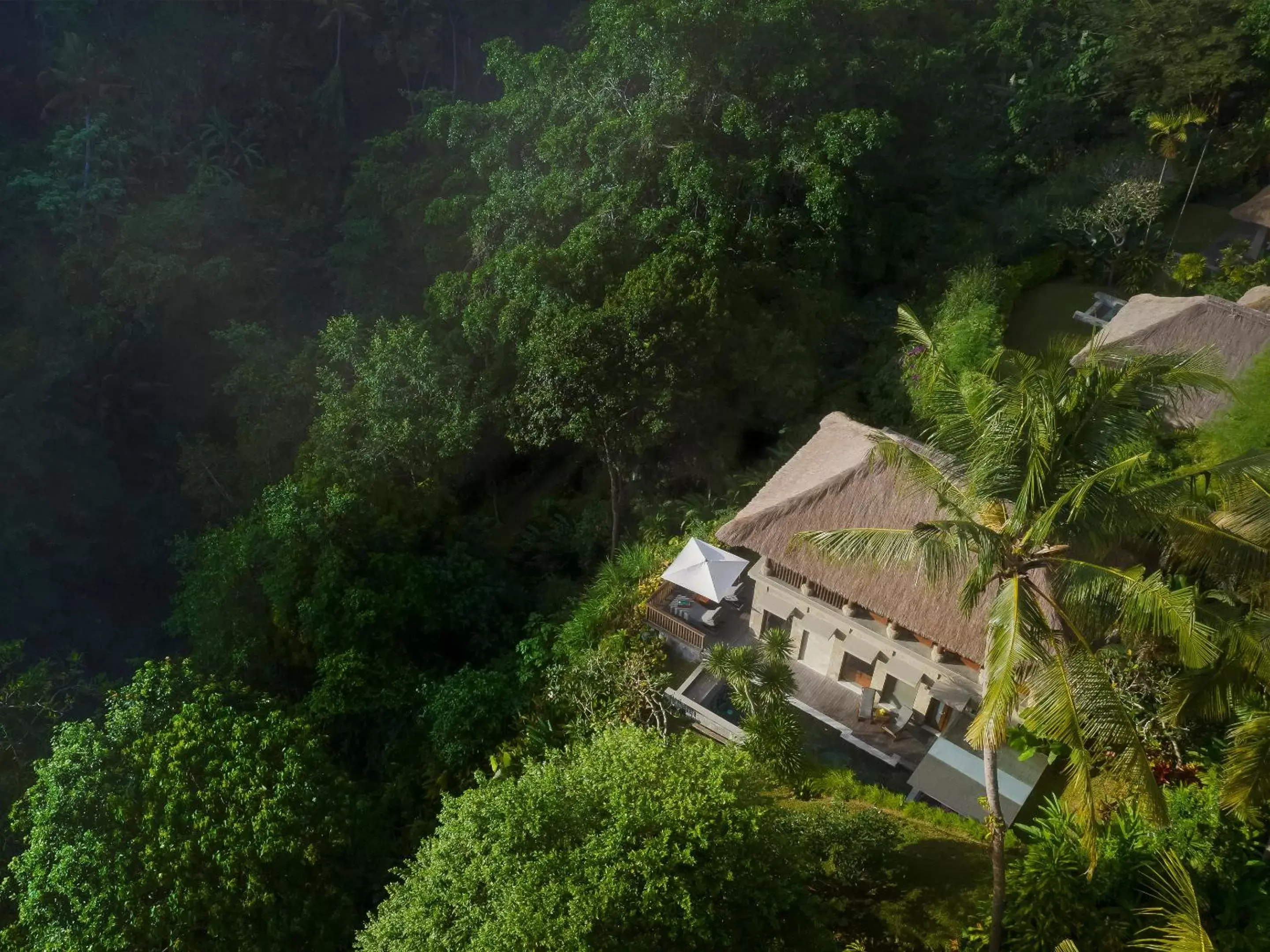 View (from property/room), Bird's-eye View in Maya Ubud Resort & Spa