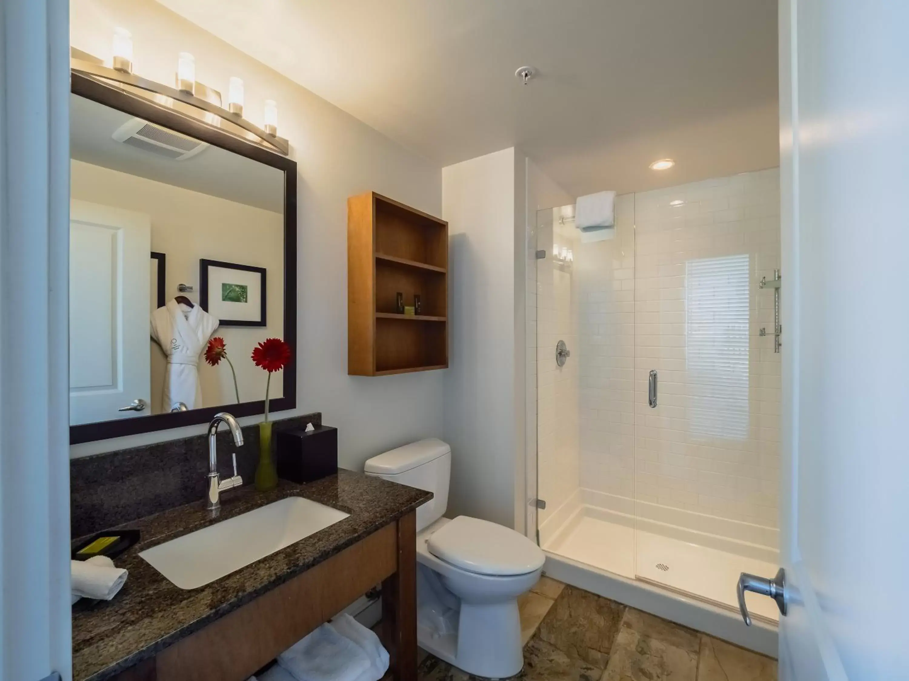 Shower, Bathroom in Oswego Hotel
