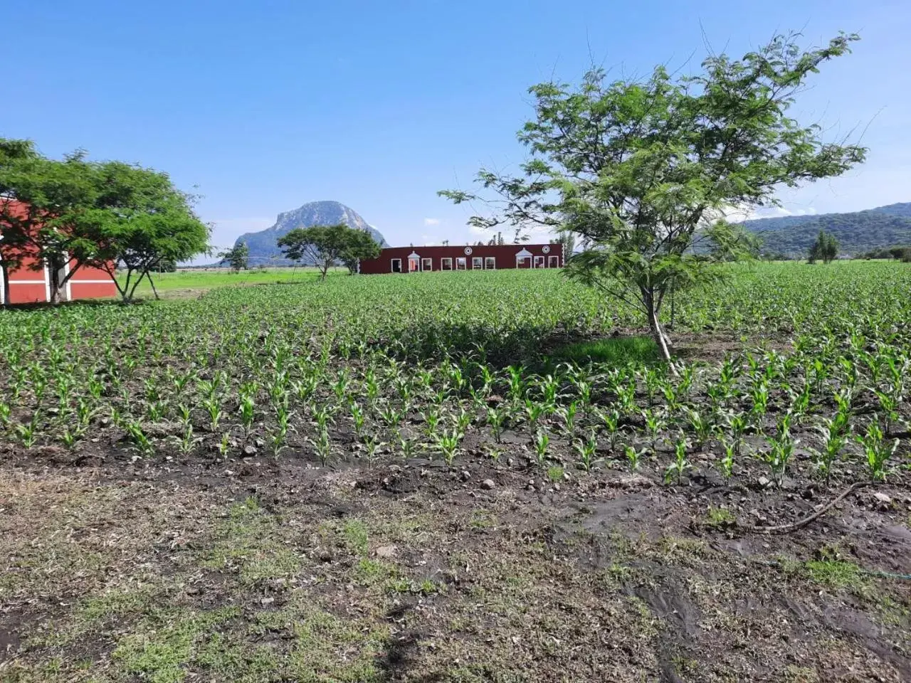 Hacienda Santa Clara Morelos