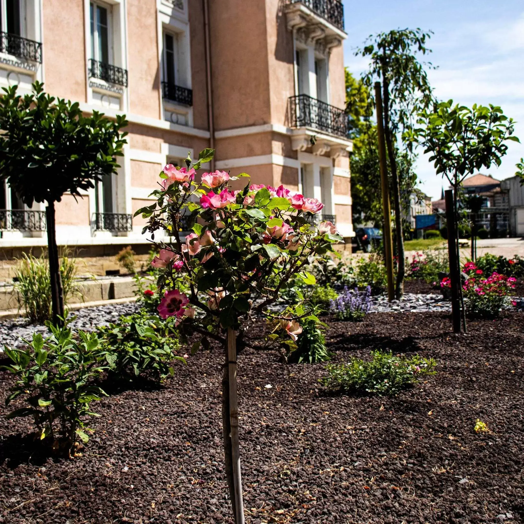 Garden, Property Building in La Souveraine