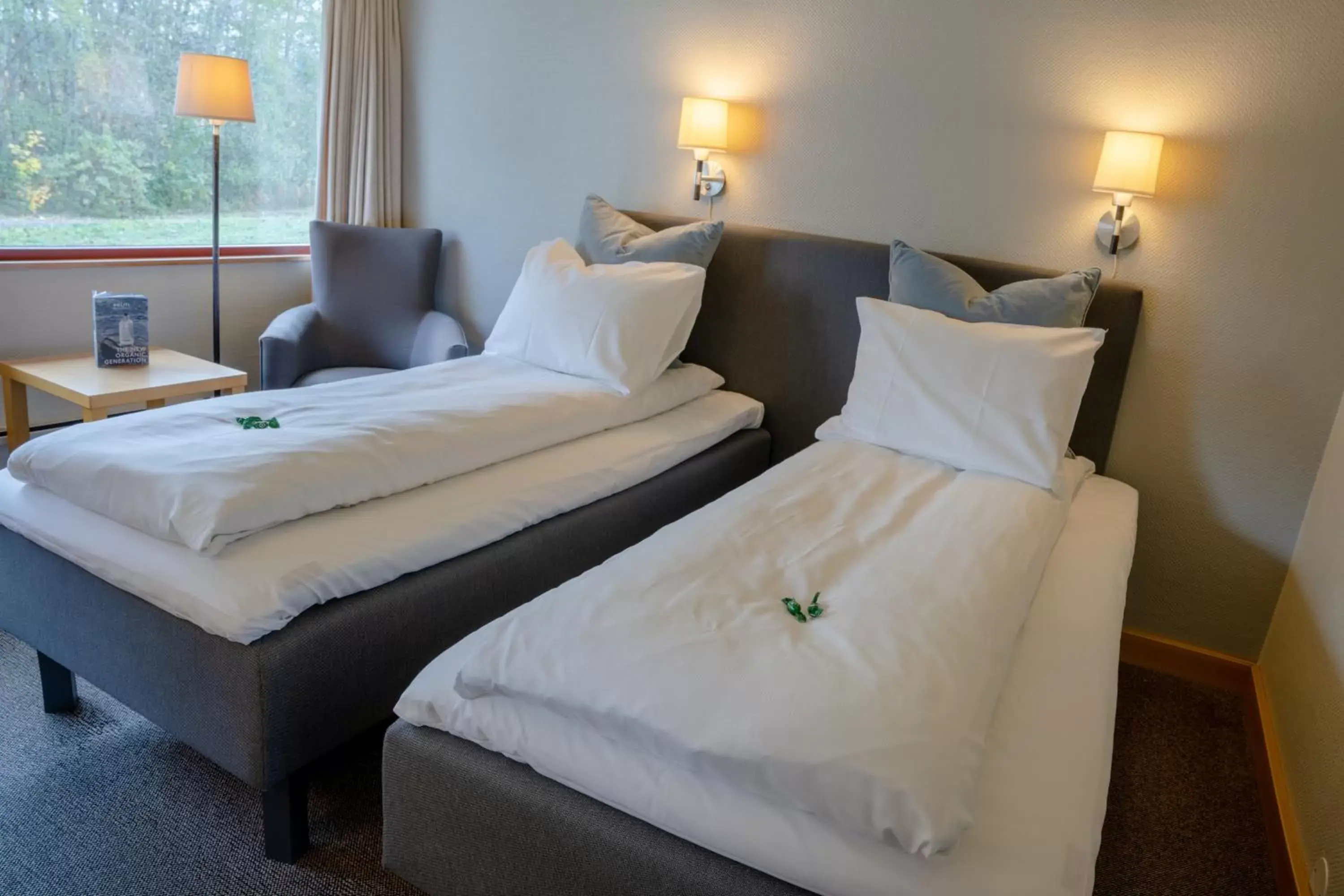Standard Twin Room - single occupancy in Thorbjørnrud Hotell Standard Twin Room - single occupancy in Thorbjørnrud Hotell