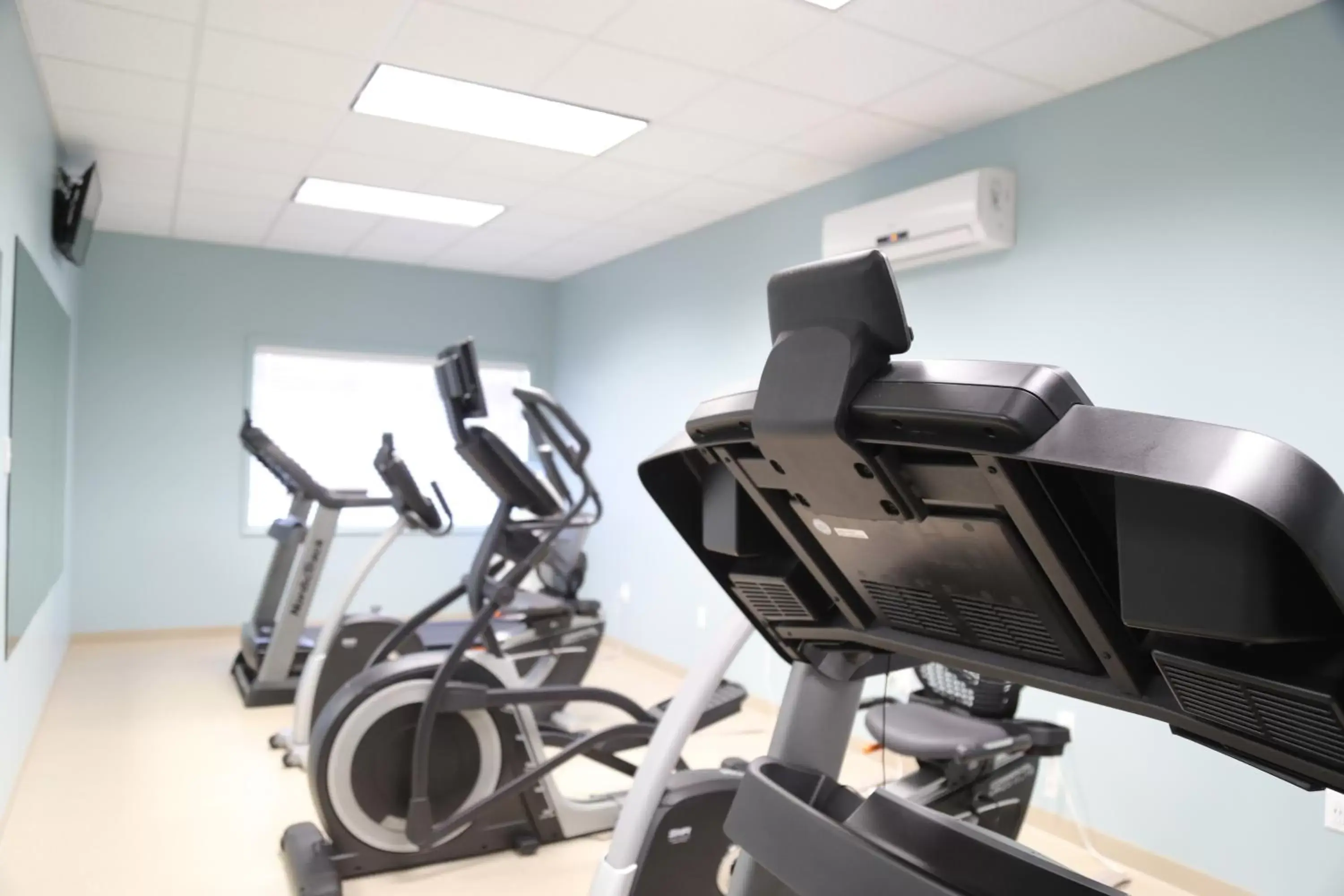 Fitness centre/facilities, Fitness Center/Facilities in The English Inn of Charlottesville