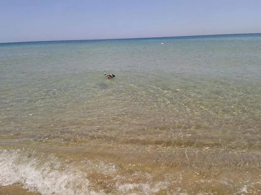 Beach in Hotel Noto Marina e Spa