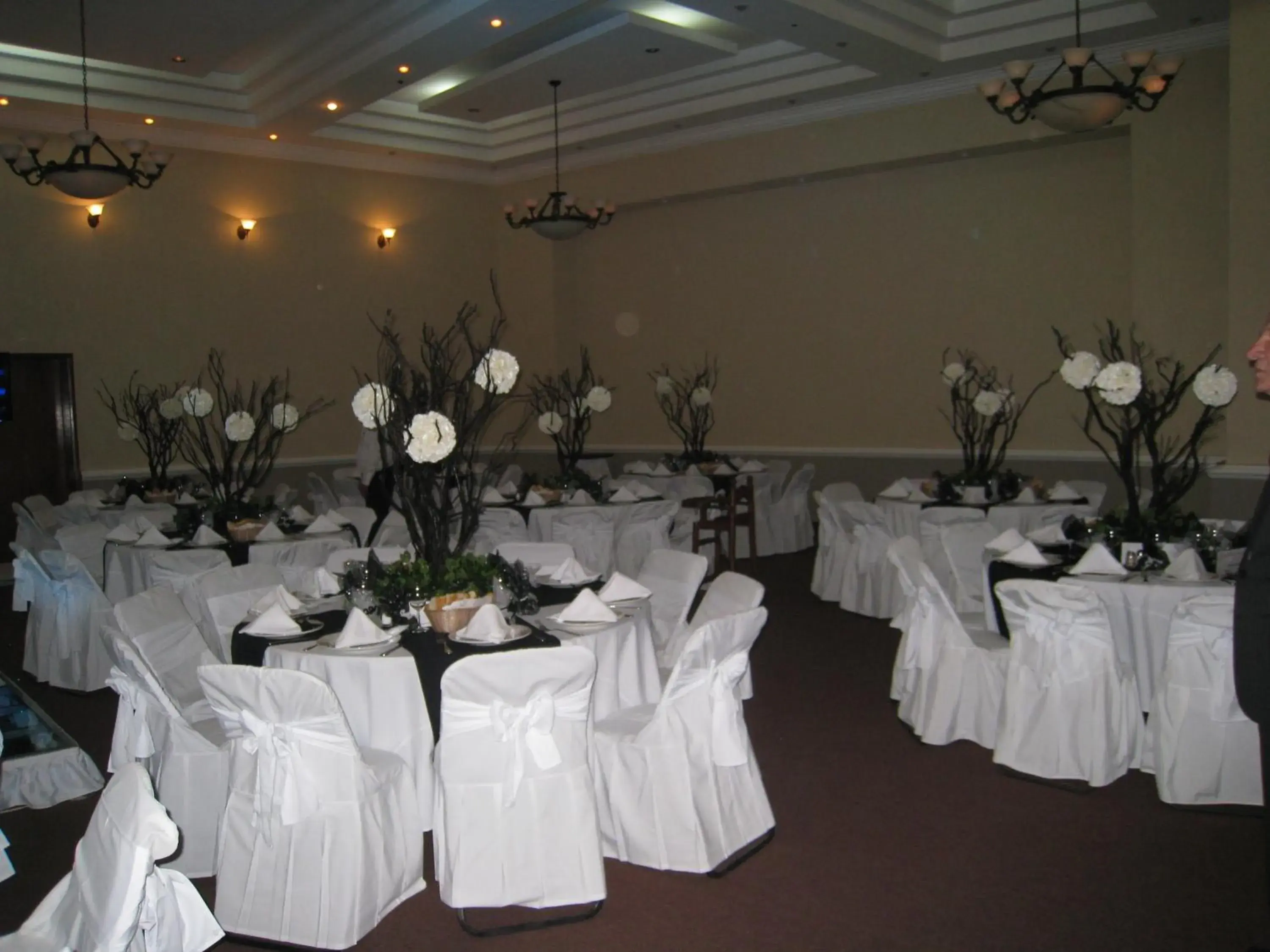 Banquet/Function facilities, Banquet Facilities in Hotel Argento