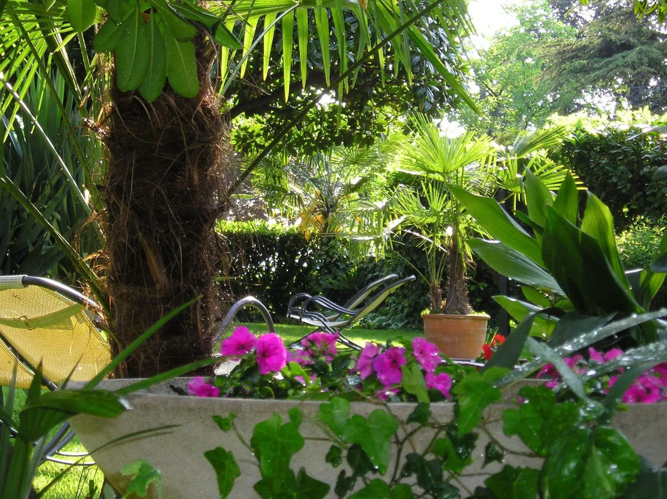 Garden in Hotel Europa