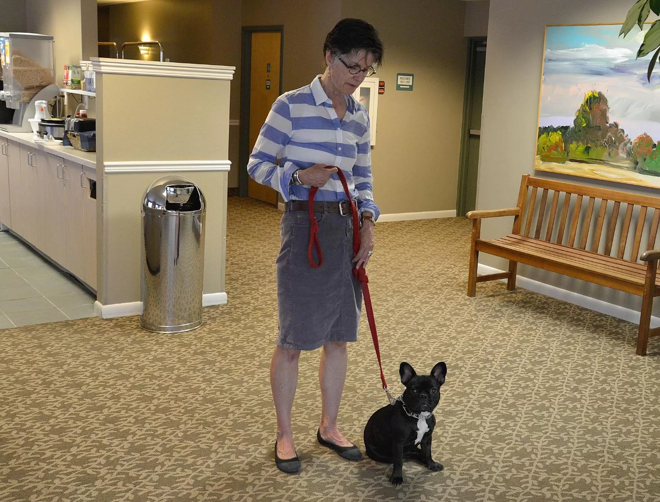 Animals in The Great Falls Inn By Riversage