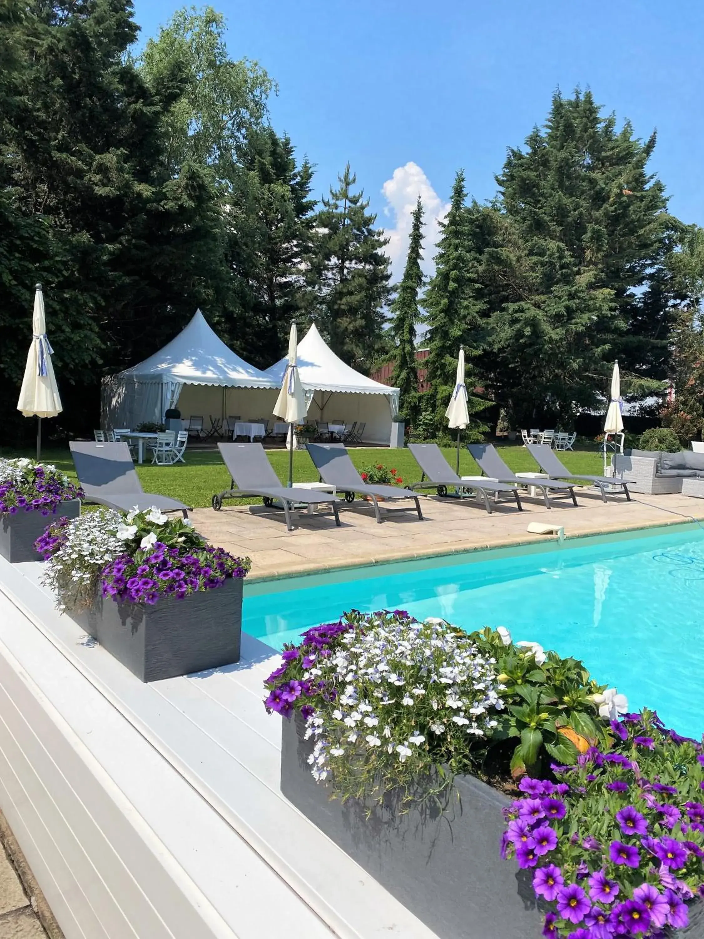 Garden, Swimming Pool in Les Jardins D'Adalric