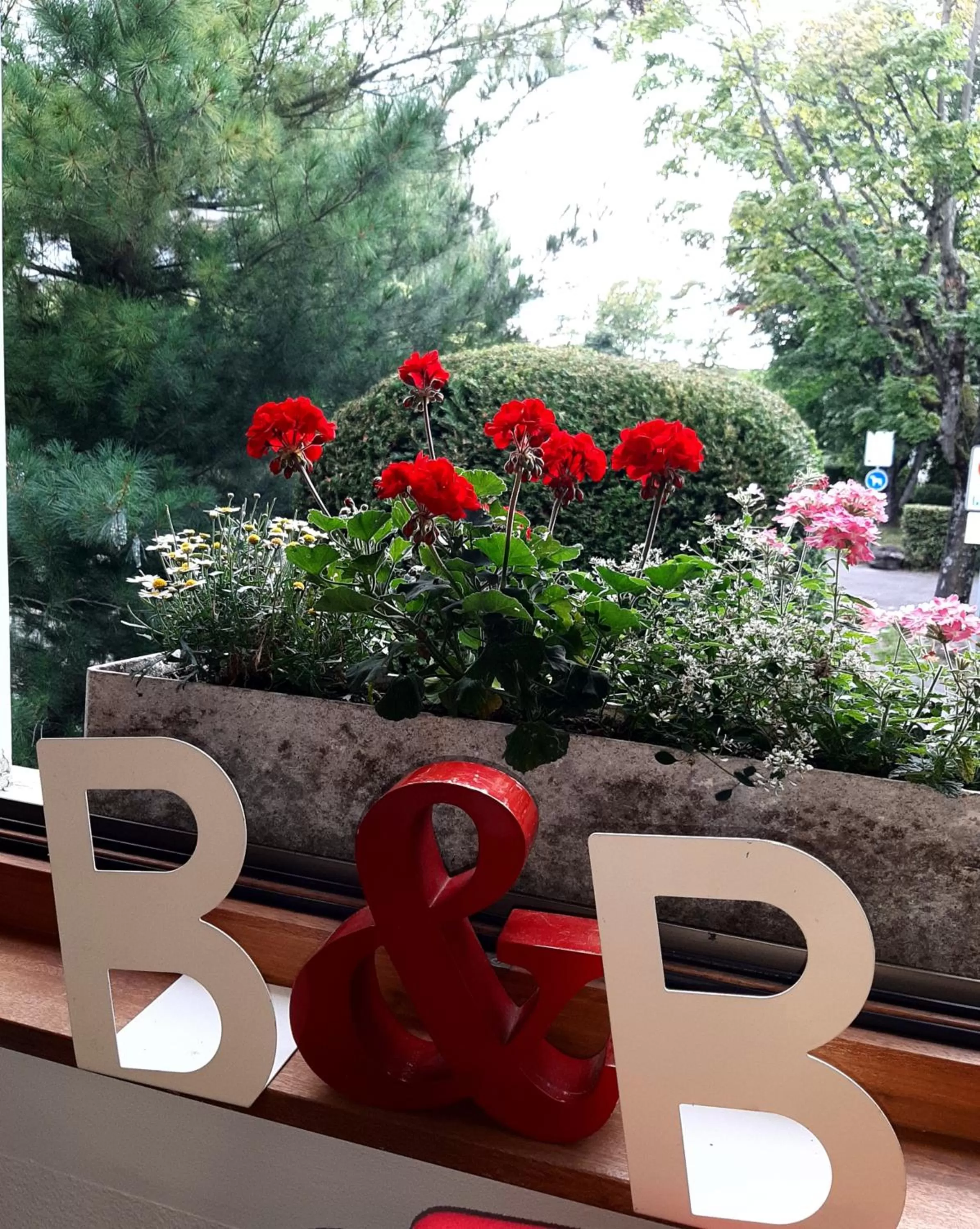 Garden in B&B Kalimera Pratteln