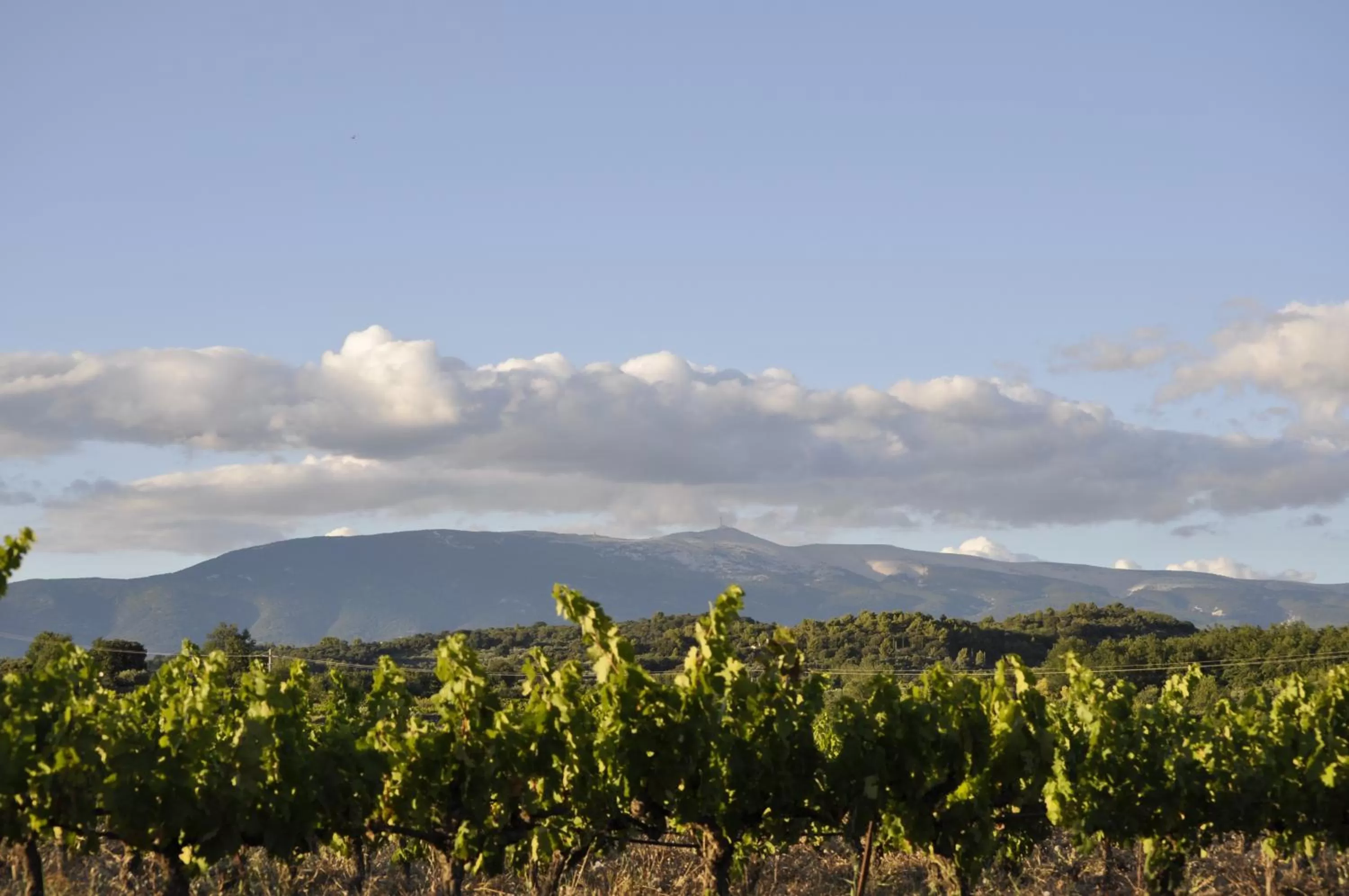 Off site in Le Mas de Plein Pagnier