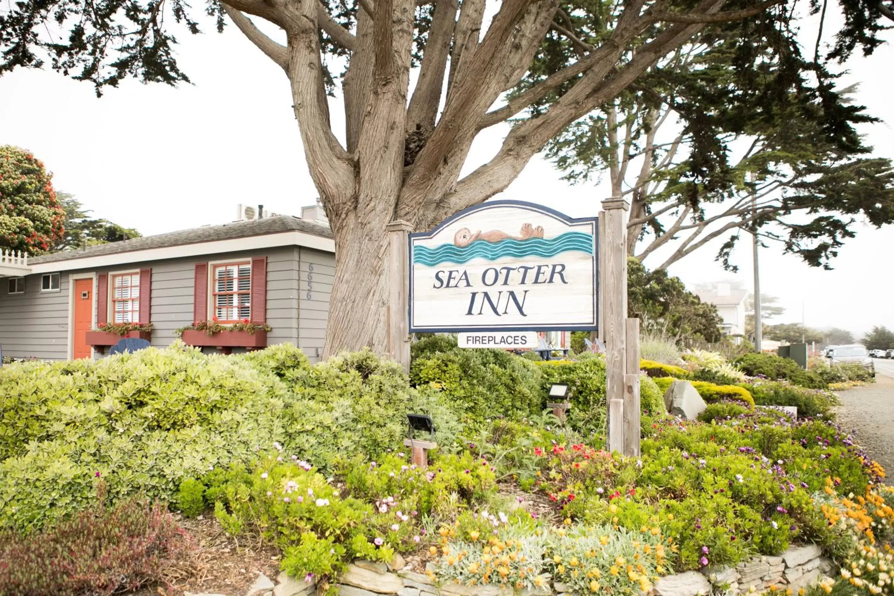 Property Building in Sea Otter Inn
