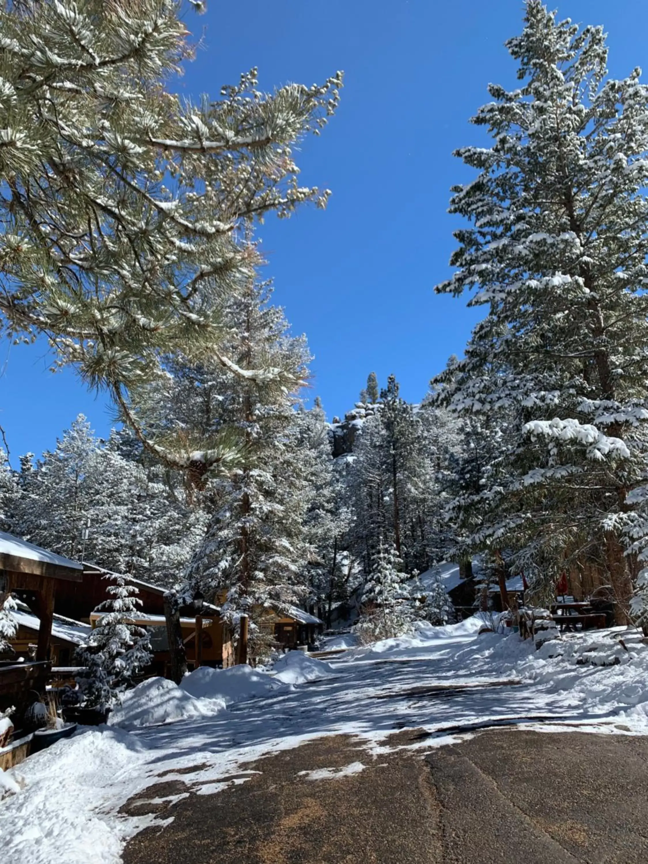 Winter in Pine Haven Resort