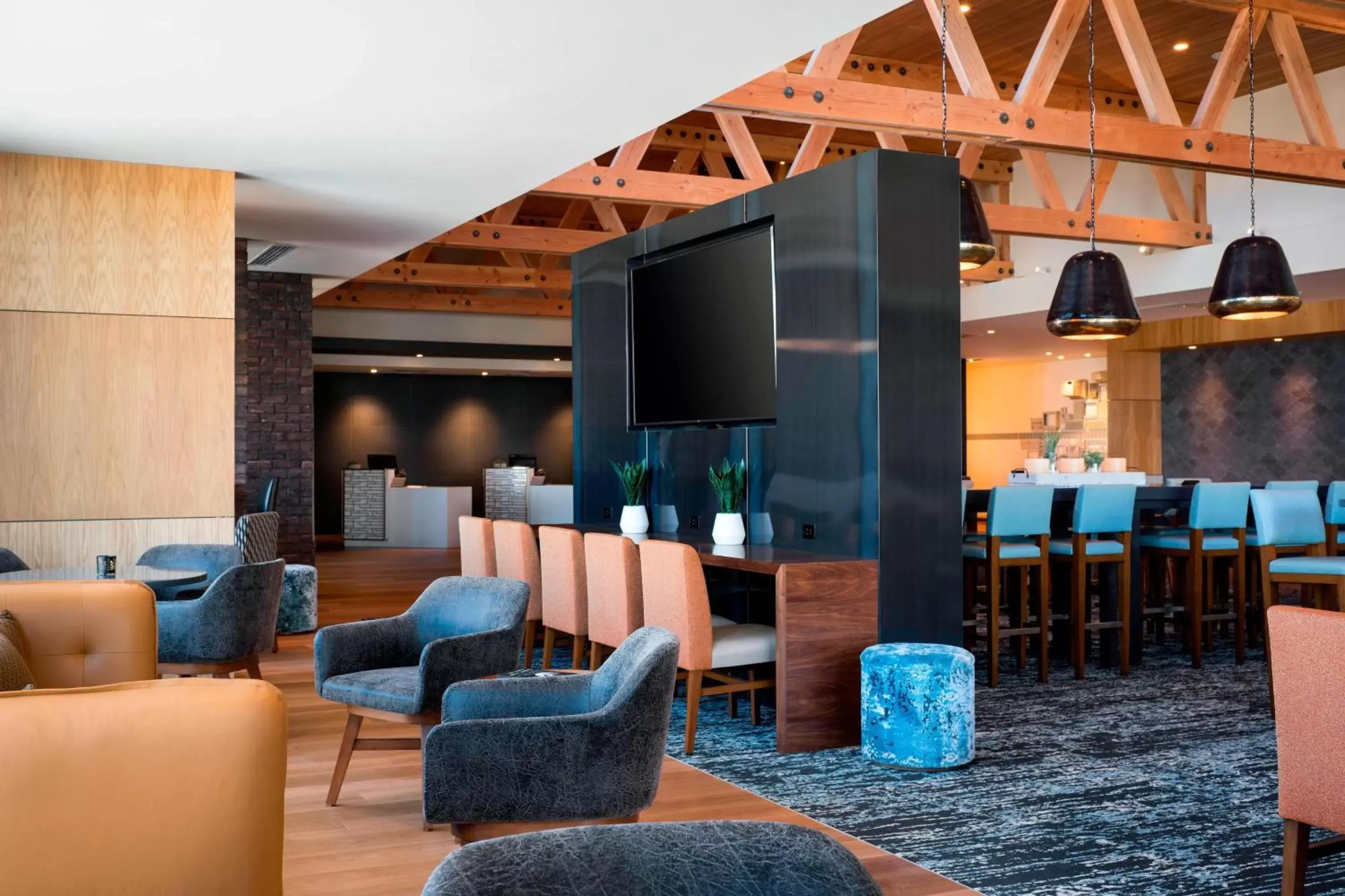 Lobby or reception, Lounge/Bar in Residence Inn by Marriott Redwood City San Carlos