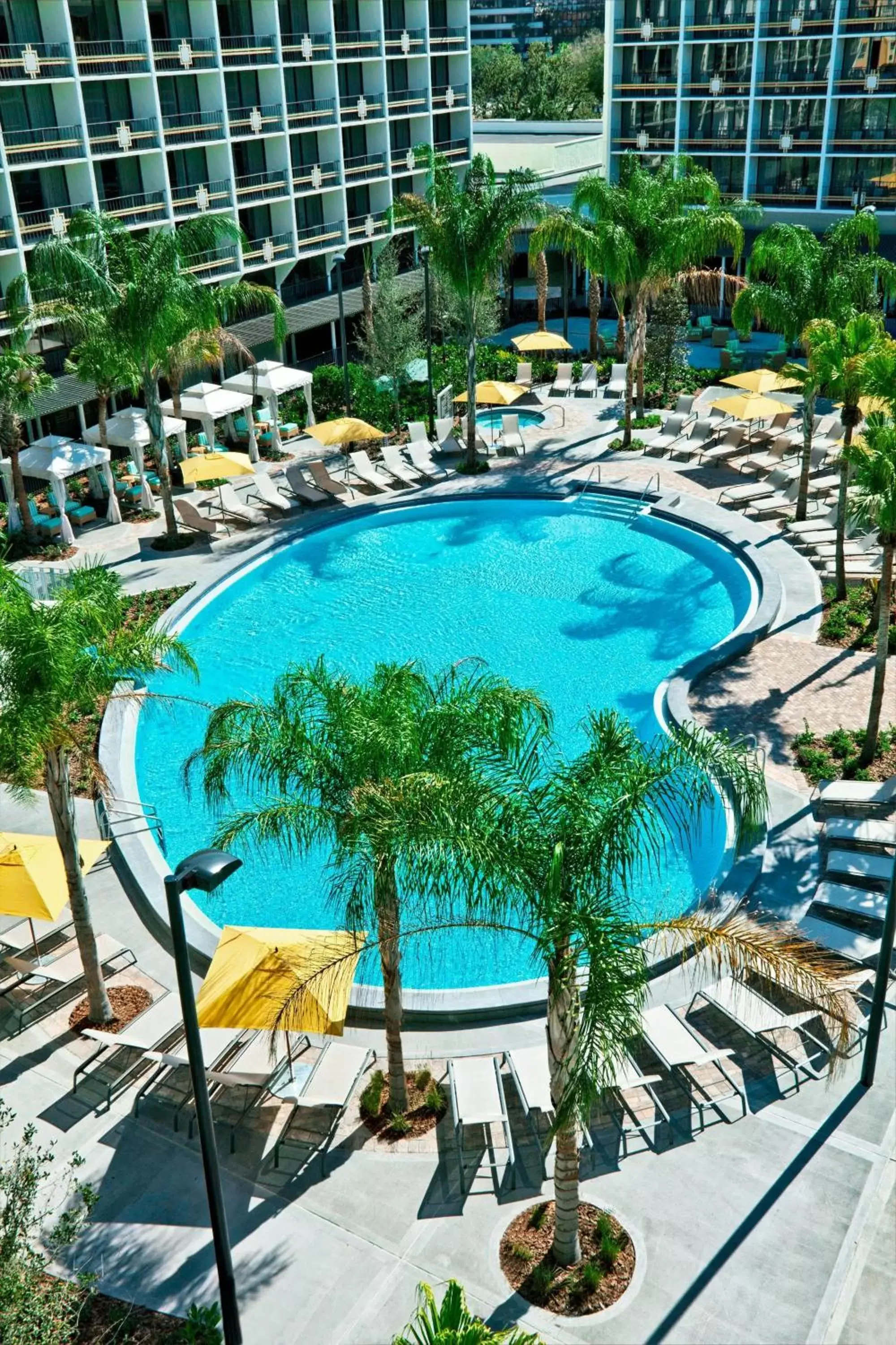 Swimming pool, Pool View in Sheraton Orlando Lake Buena Vista Resort