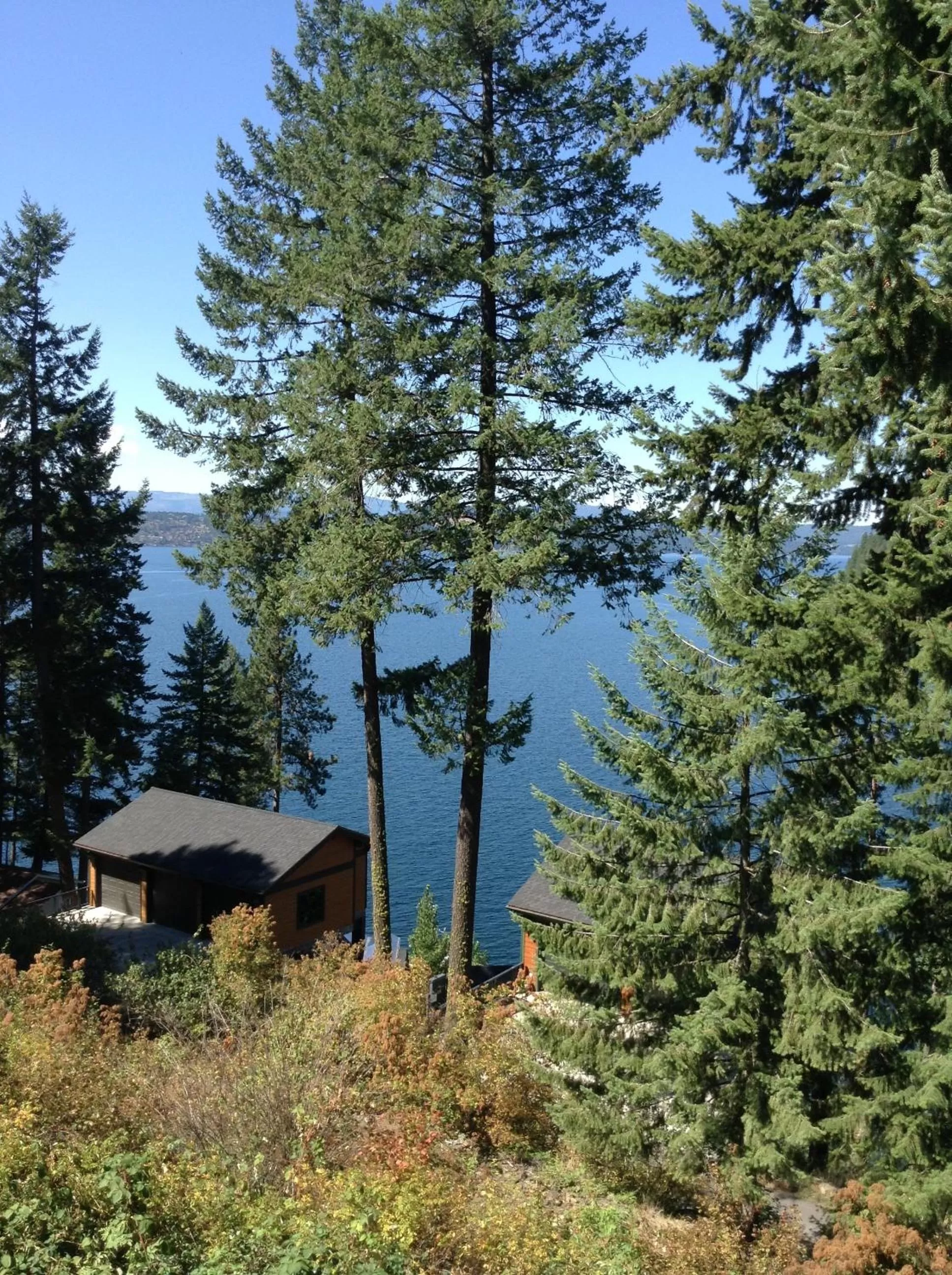 View (from property/room) in Bennett Bay Inn