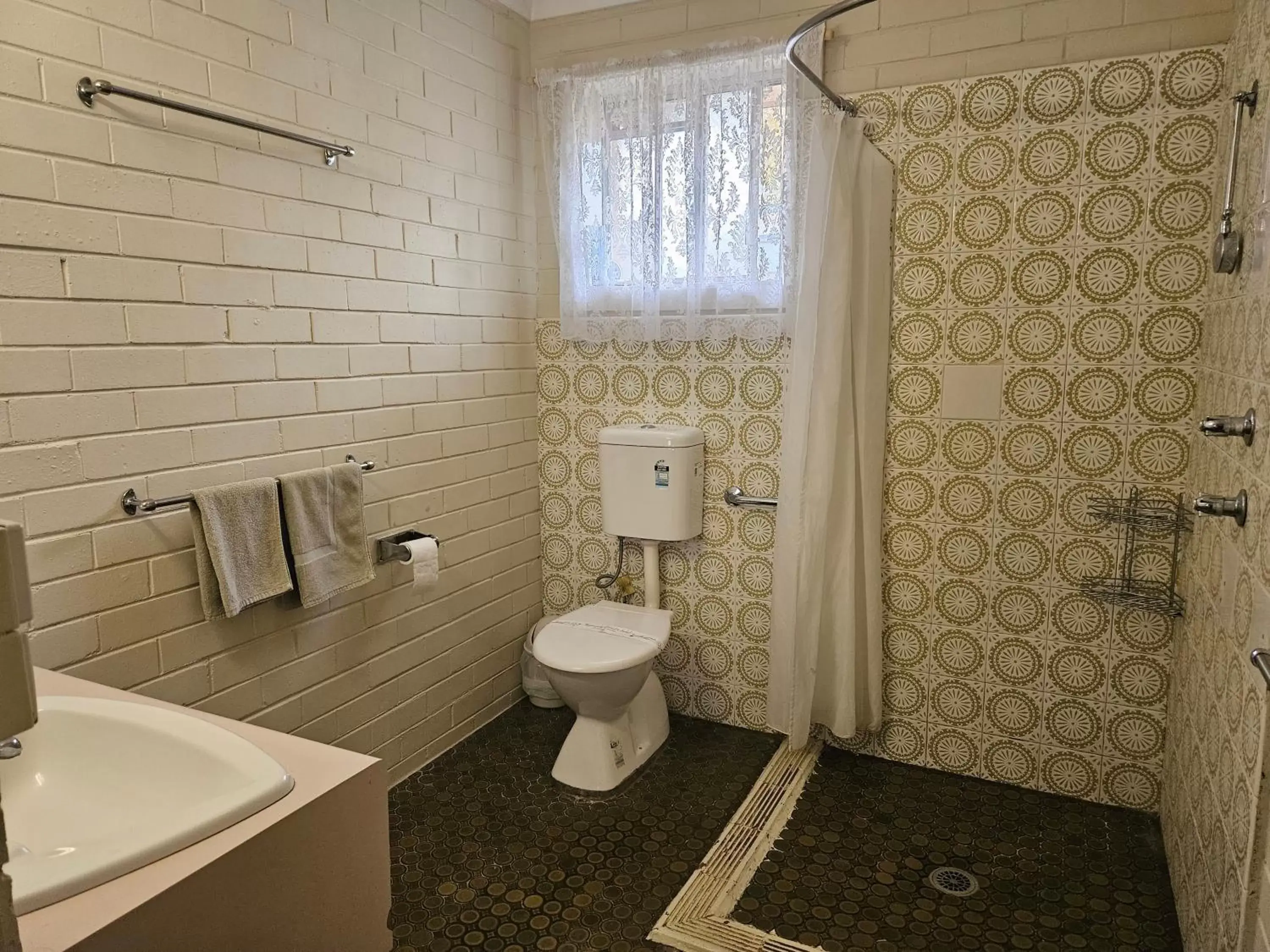 Shower, Bathroom in Matthew Flinders Motor Inn