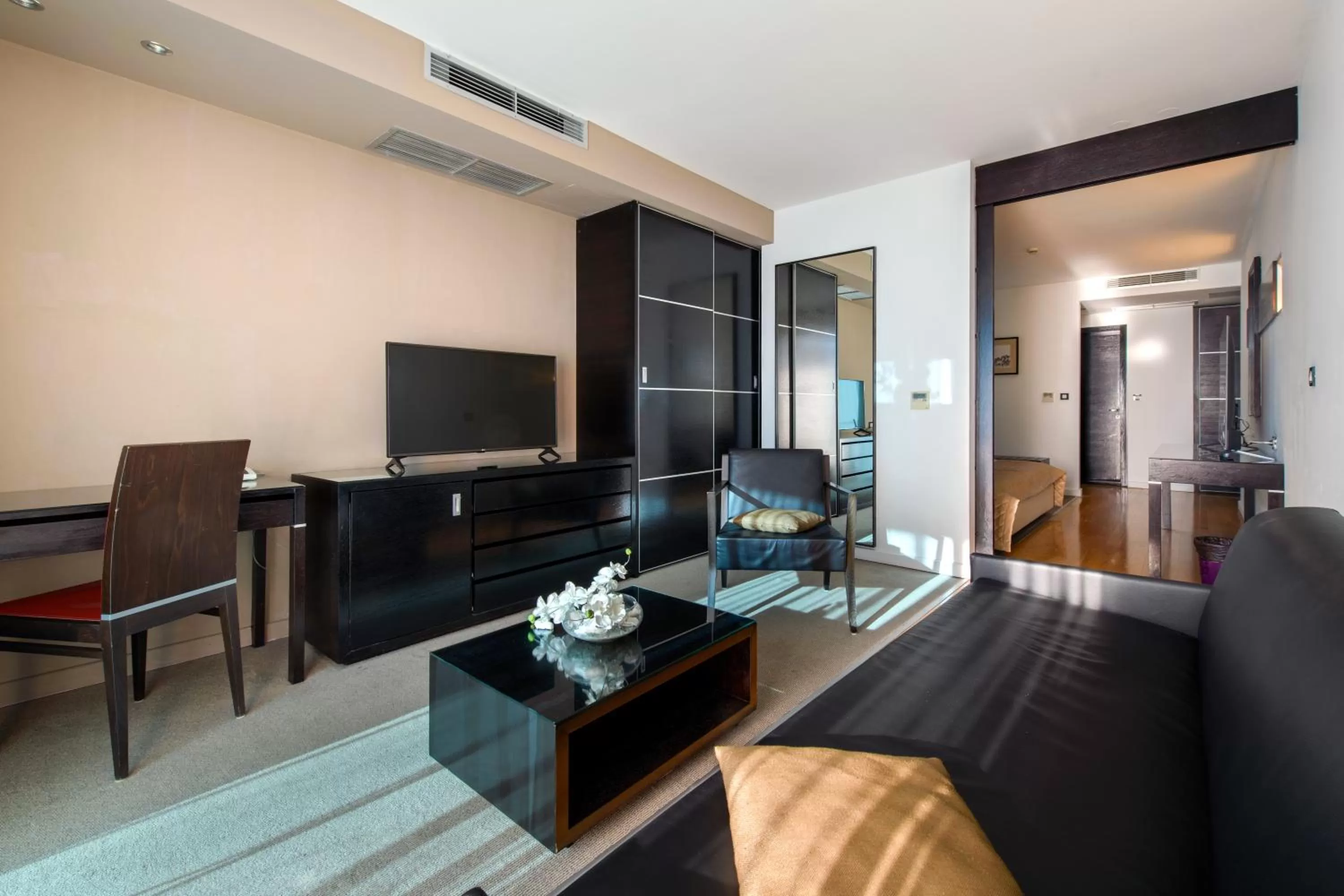 TV and multimedia in Hotel San Antonio