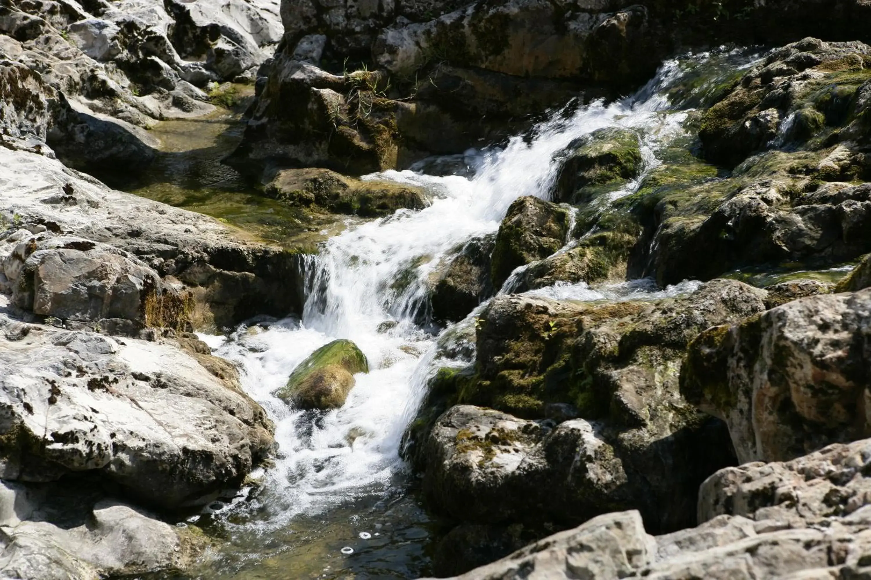 Natural Landscape in Hotel Rural Casa de Campo