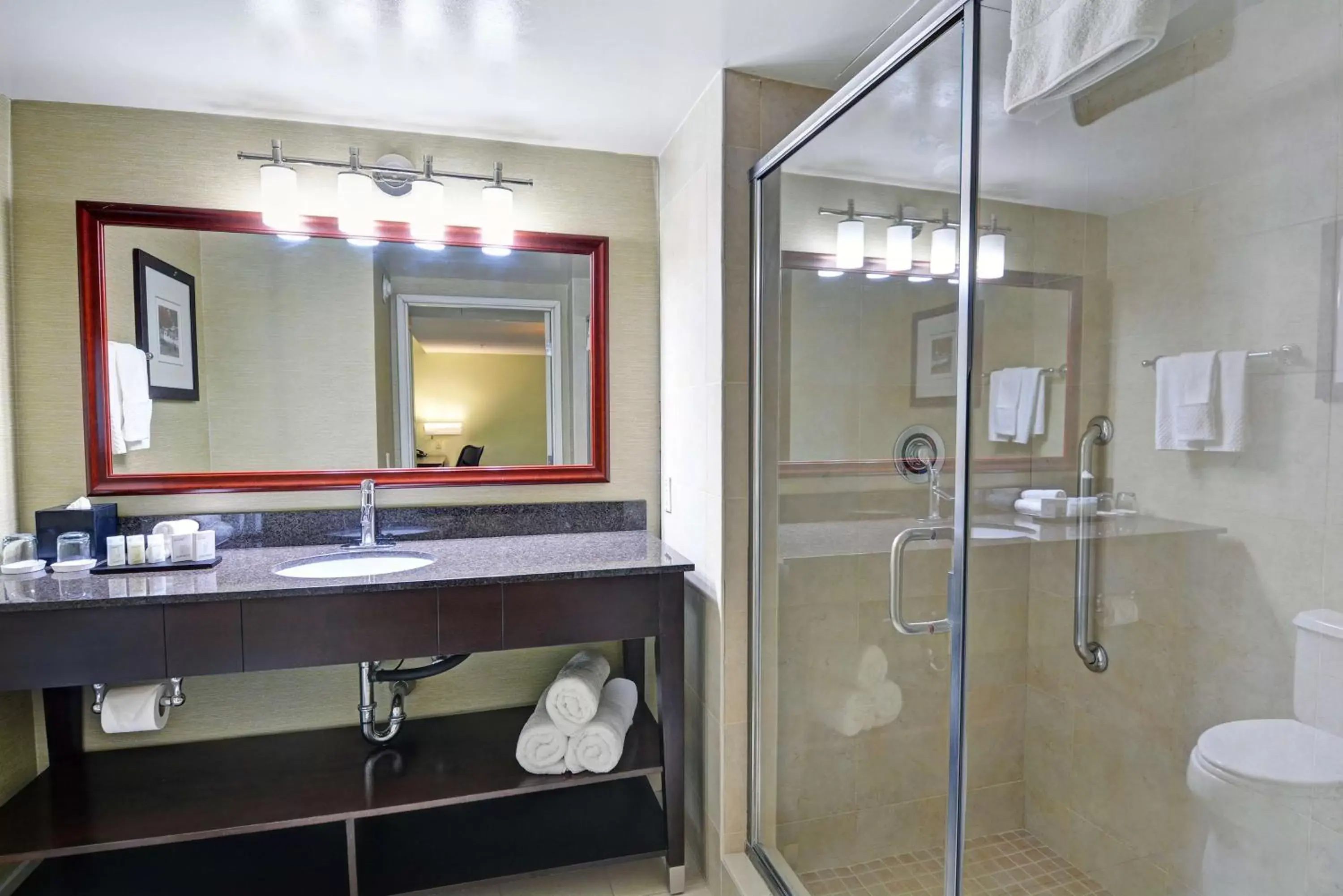 Bathroom in Embassy Suites Valencia