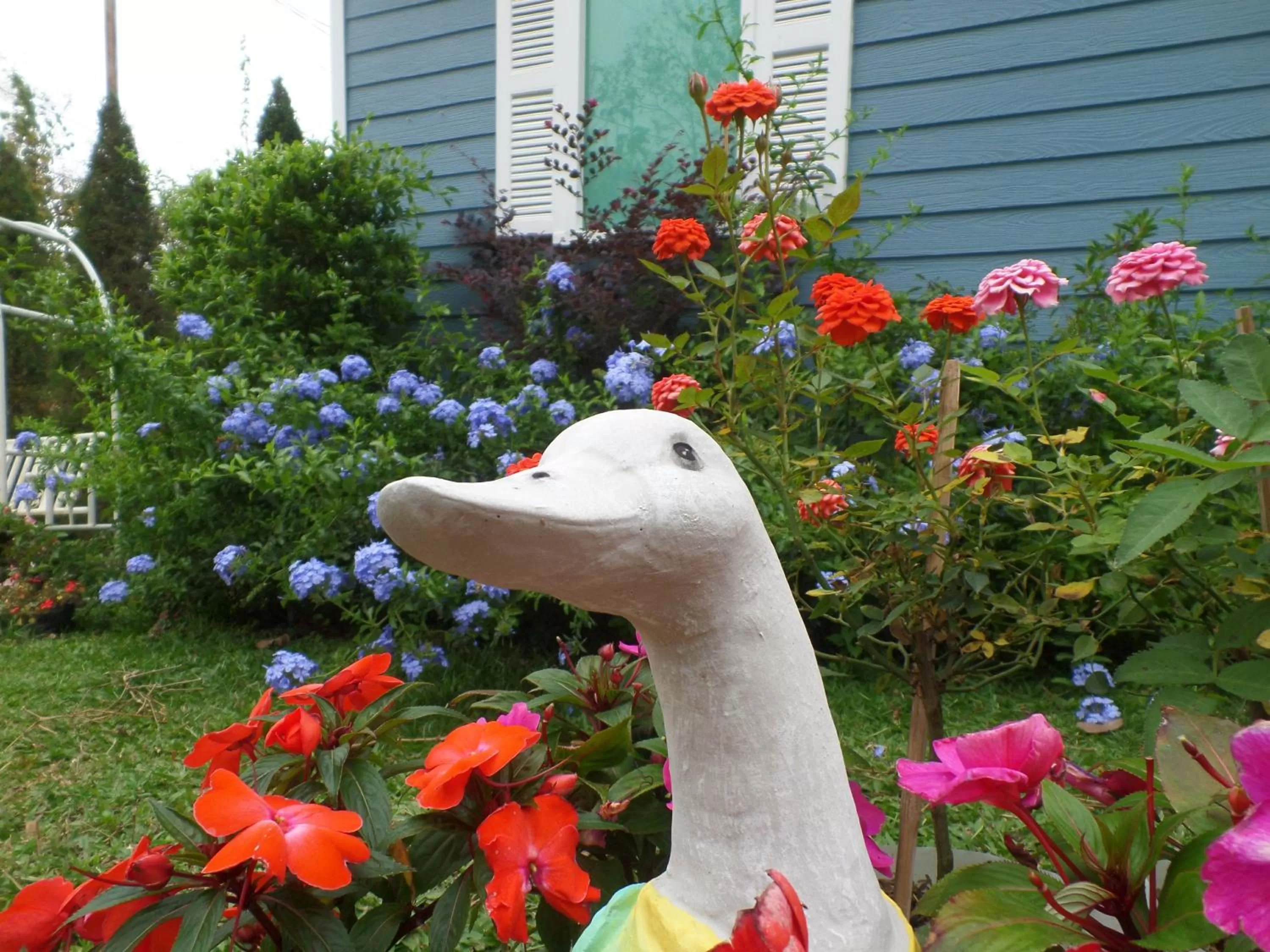 Property building in Baan JaoKorKluay บ้านเจ้ากอกล้วย