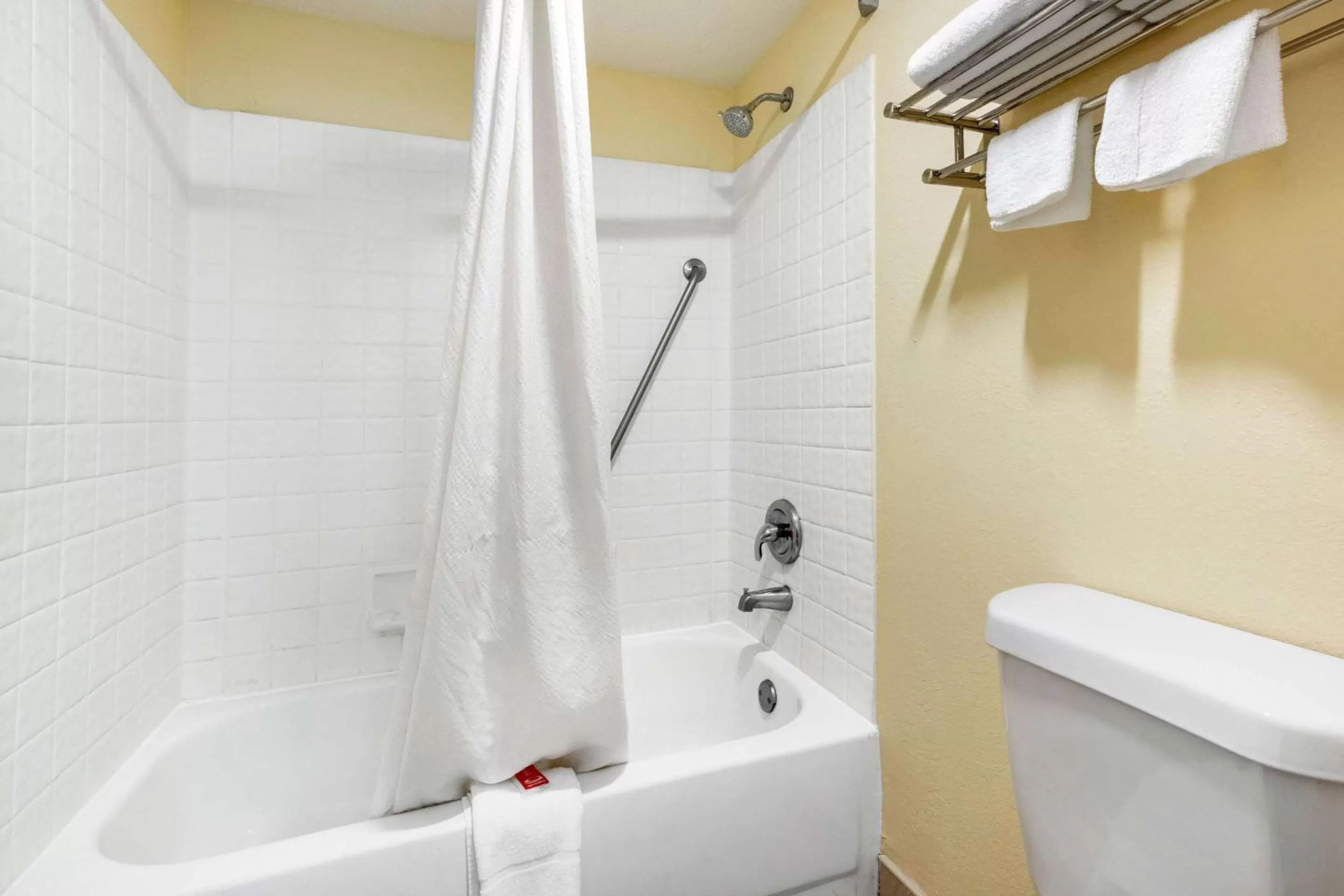 Bathroom in Econo Lodge Chattanooga Northeast - Ooltewah