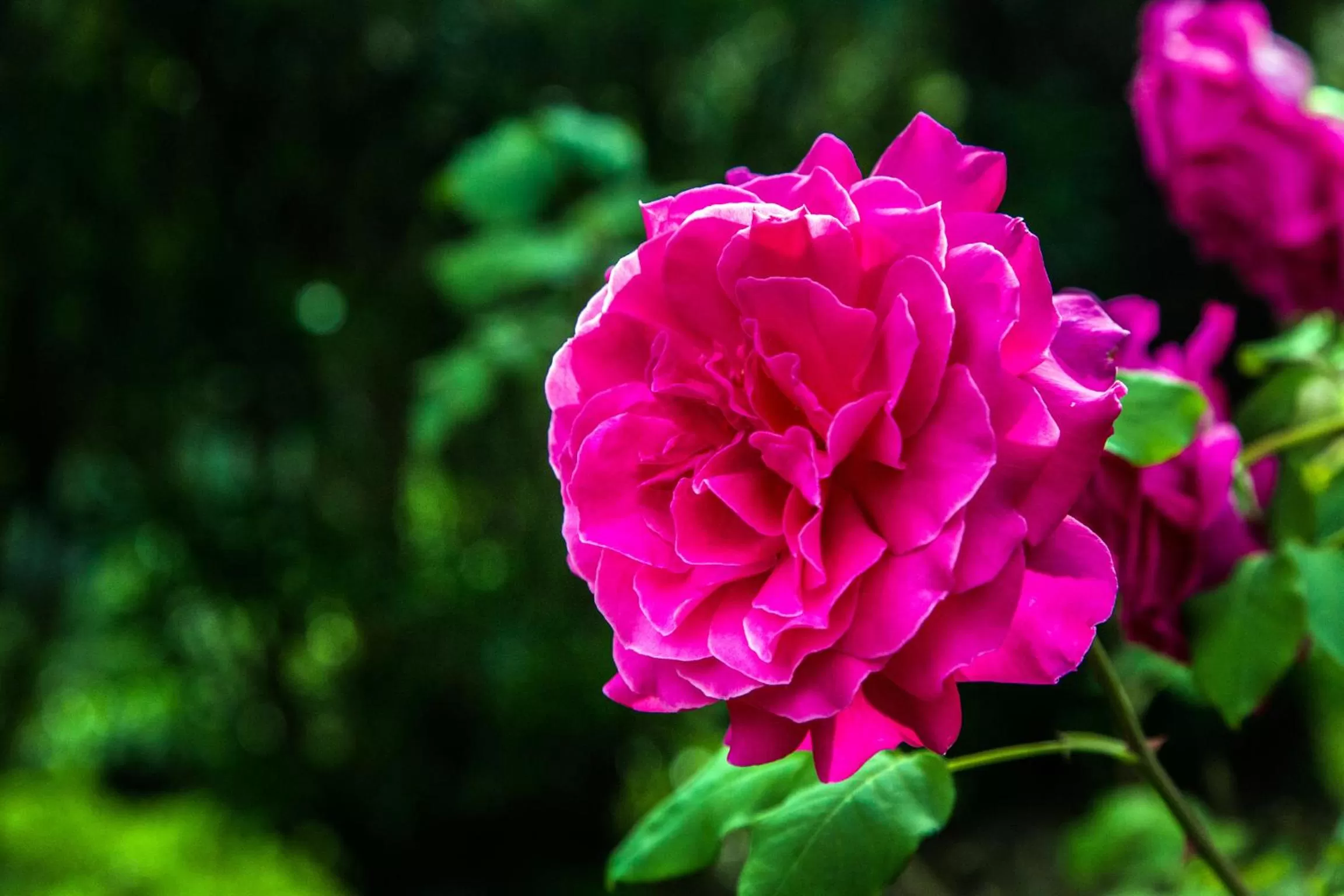 Decorative detail in Casa Matilde