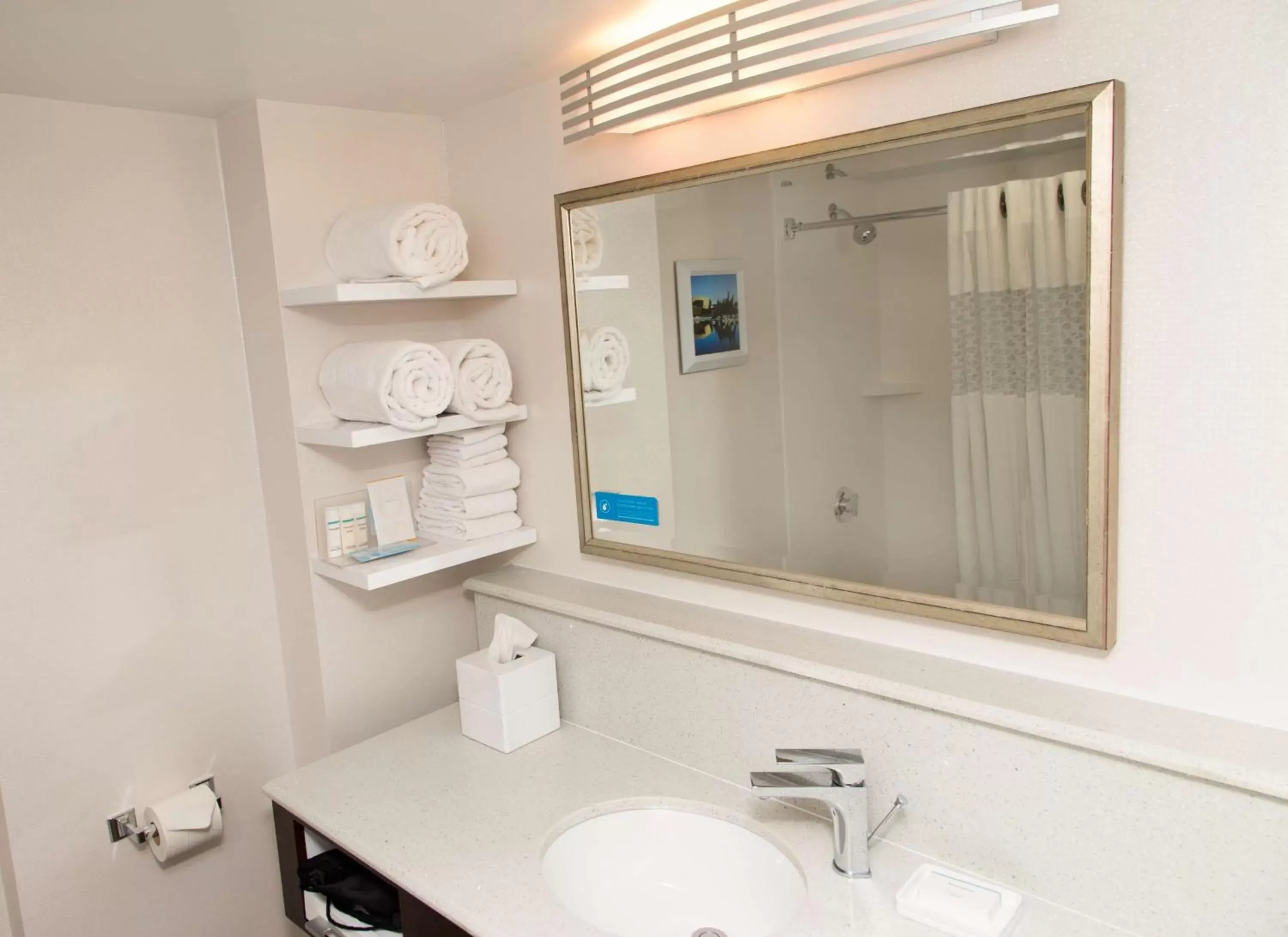 Bathroom in Hampton Inn & Suites Albany-Downtown