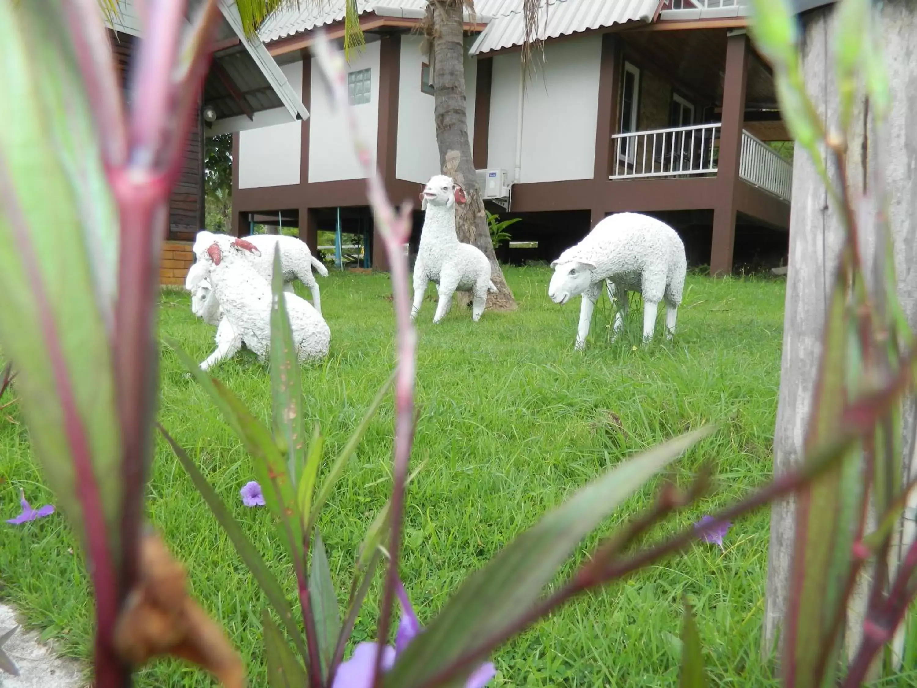 Other Animals in Pai Iyara Resort