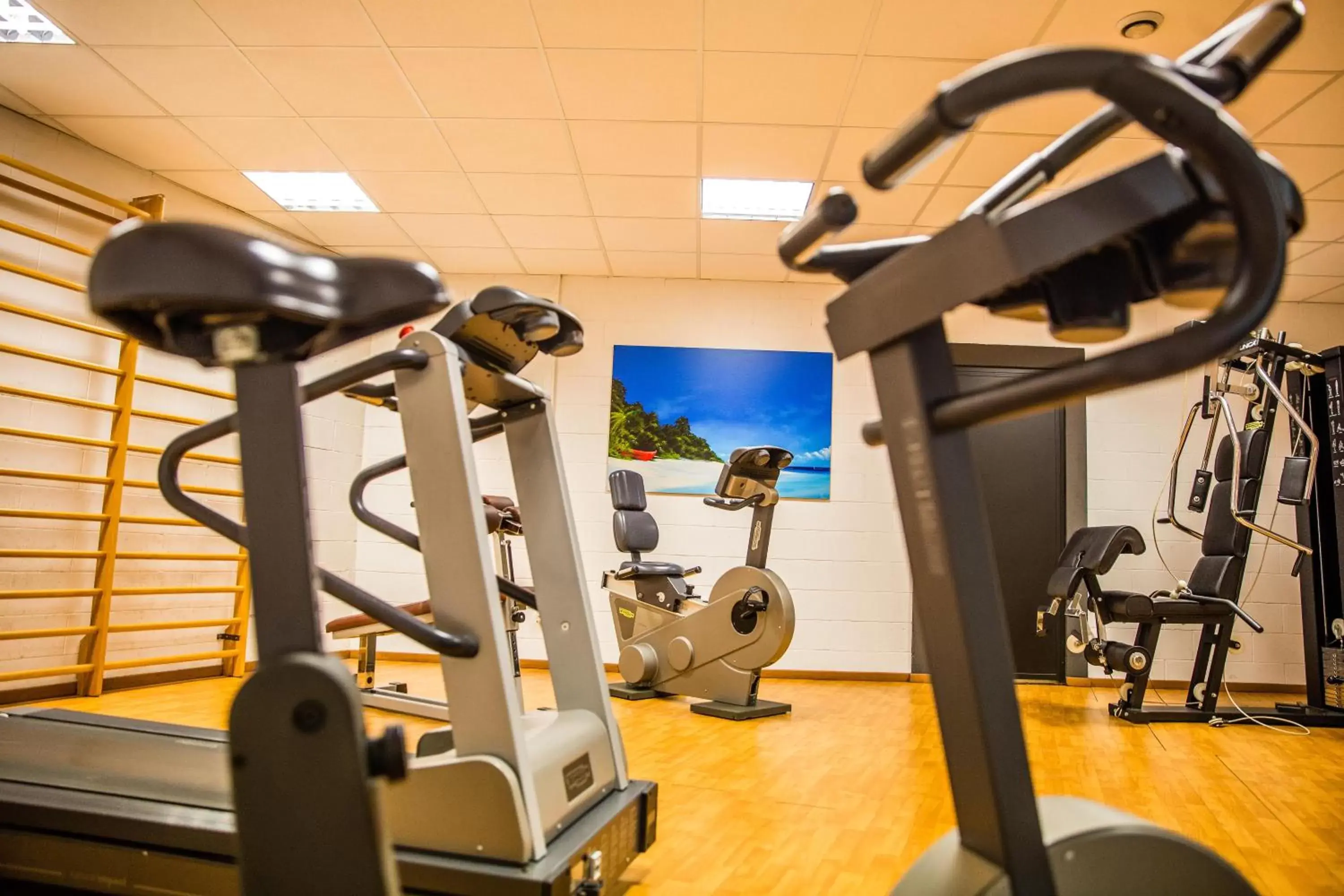 Fitness centre/facilities, Fitness Center/Facilities in Hotel Glis