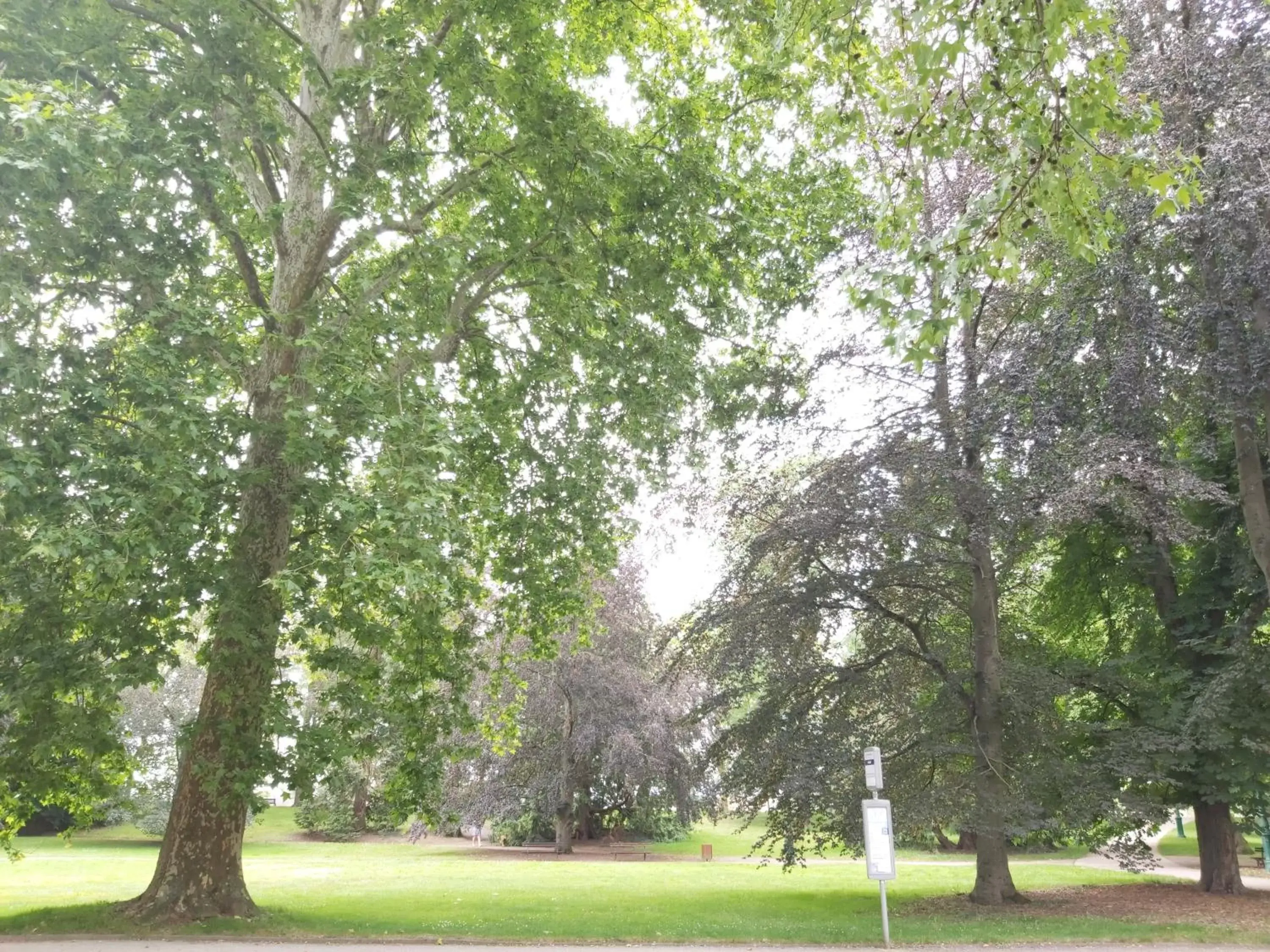 Natural landscape, Garden in Vichy Sejour