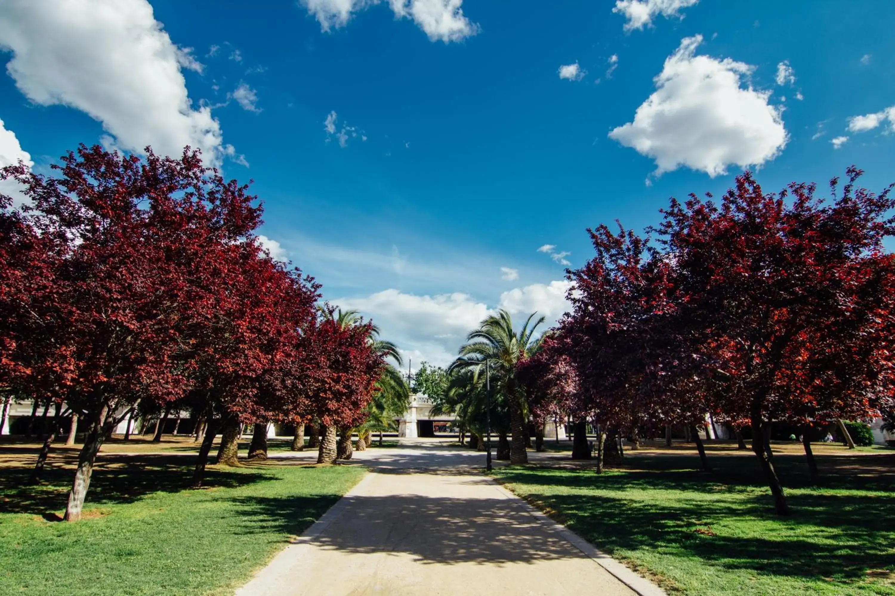 Nearby landmark, Garden in Valenciaflats Ciudad de las Ciencias