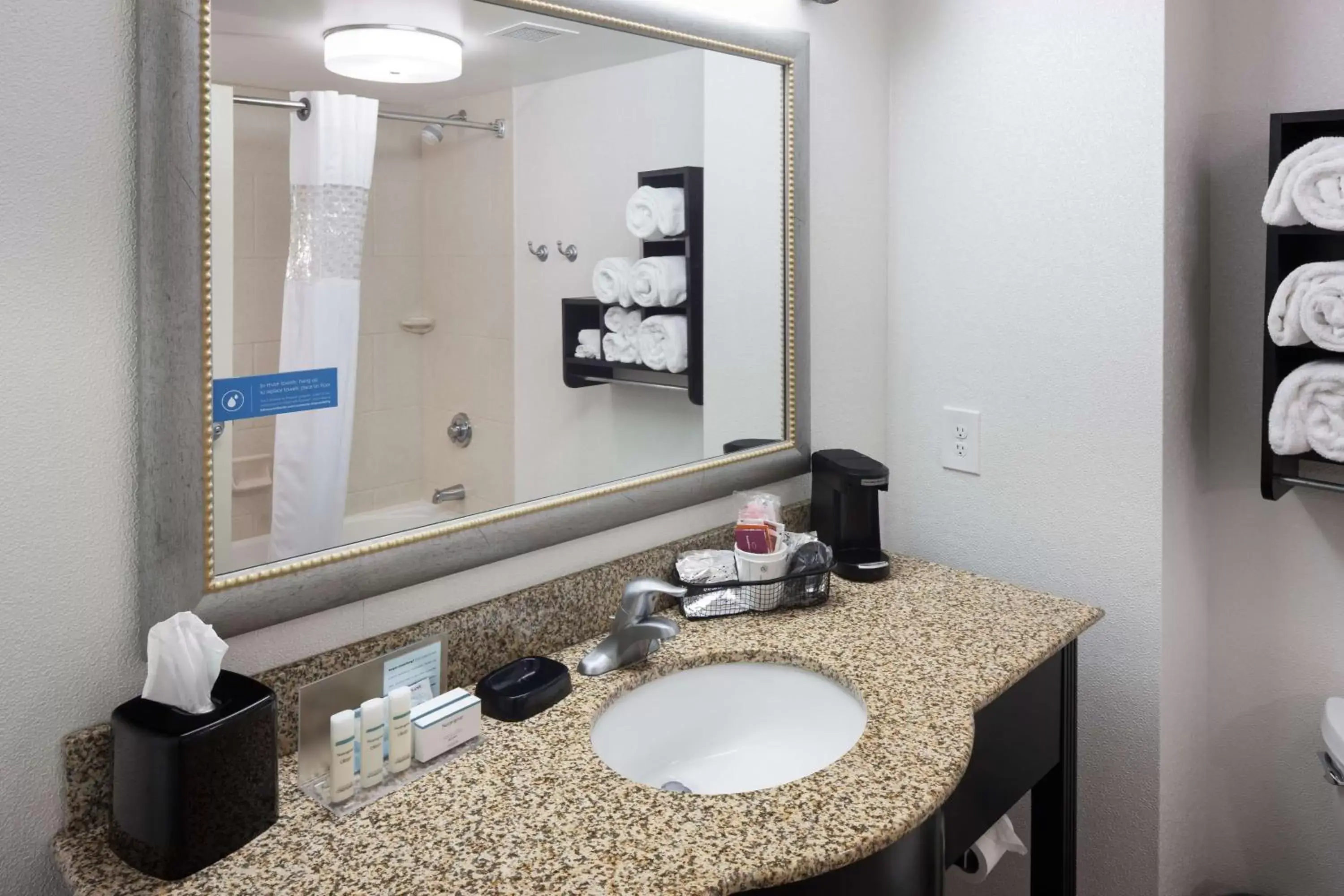 Bathroom in Hampton Inn & Suites Gainesville Downtown