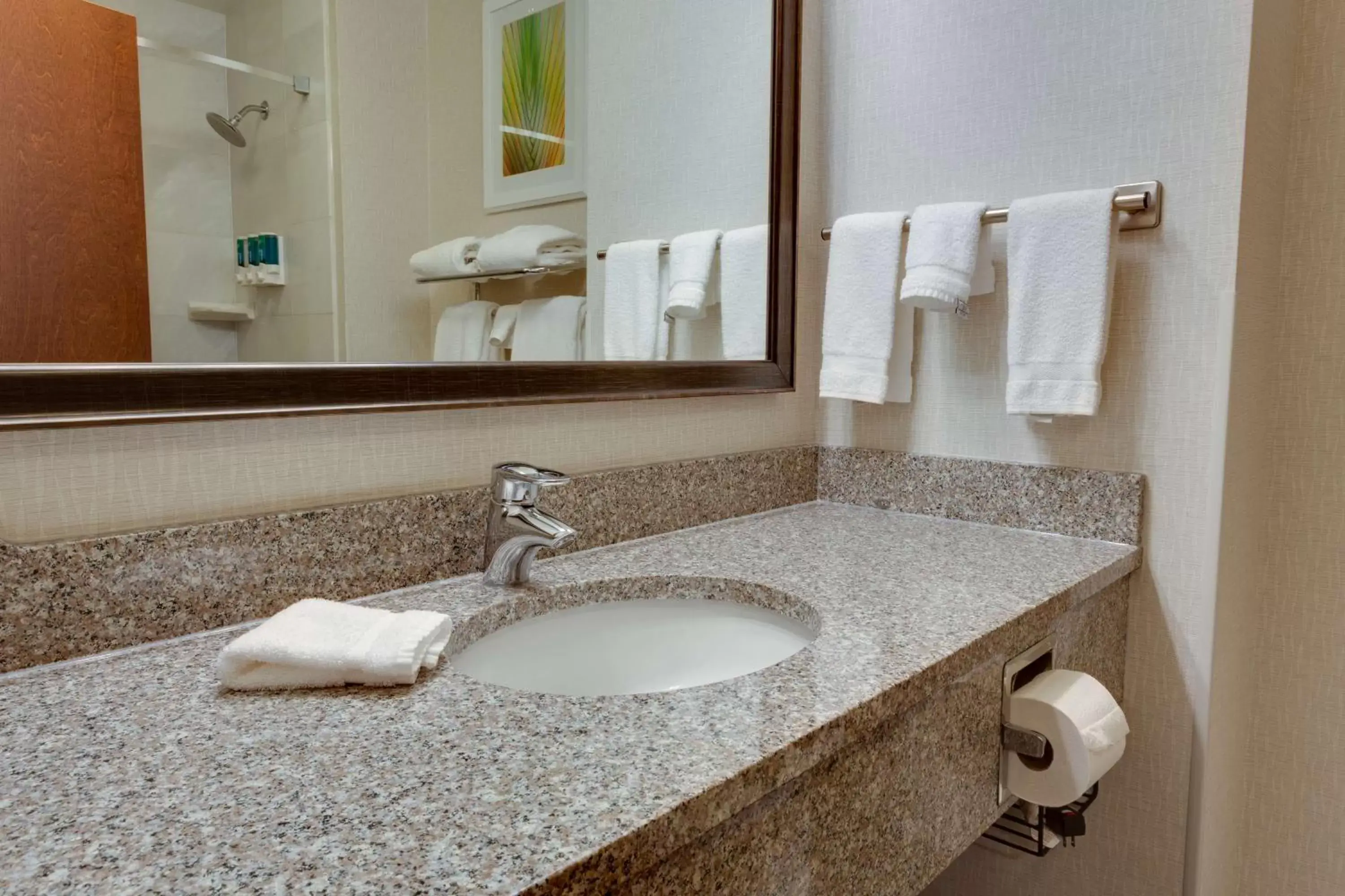 Bathroom in Drury Inn & Suites Baton Rouge