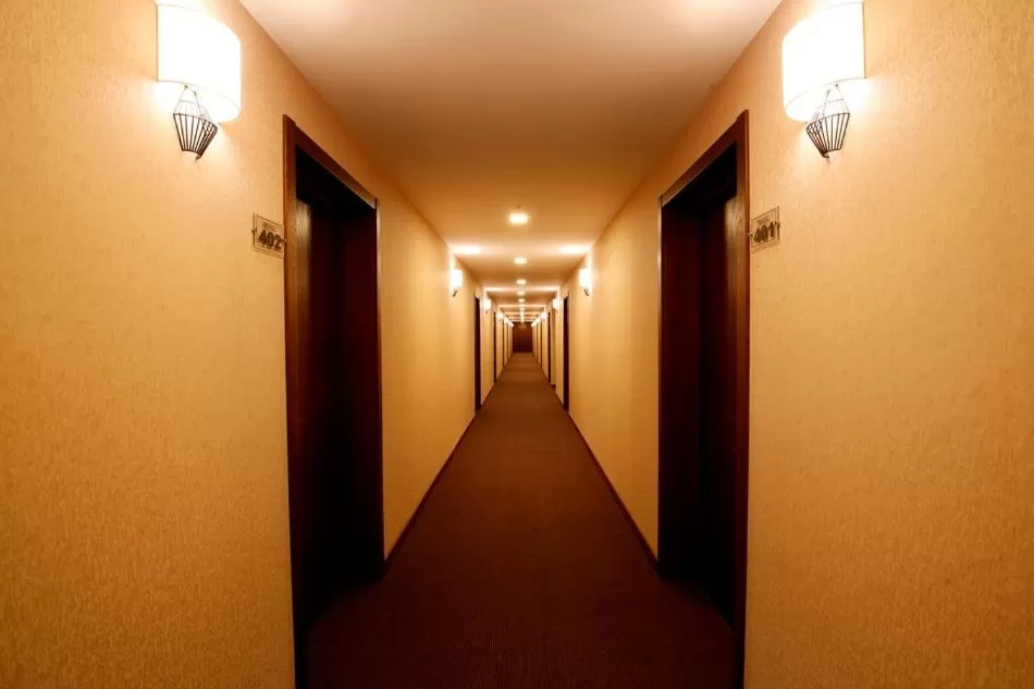 Area and facilities in Cruise Hotel