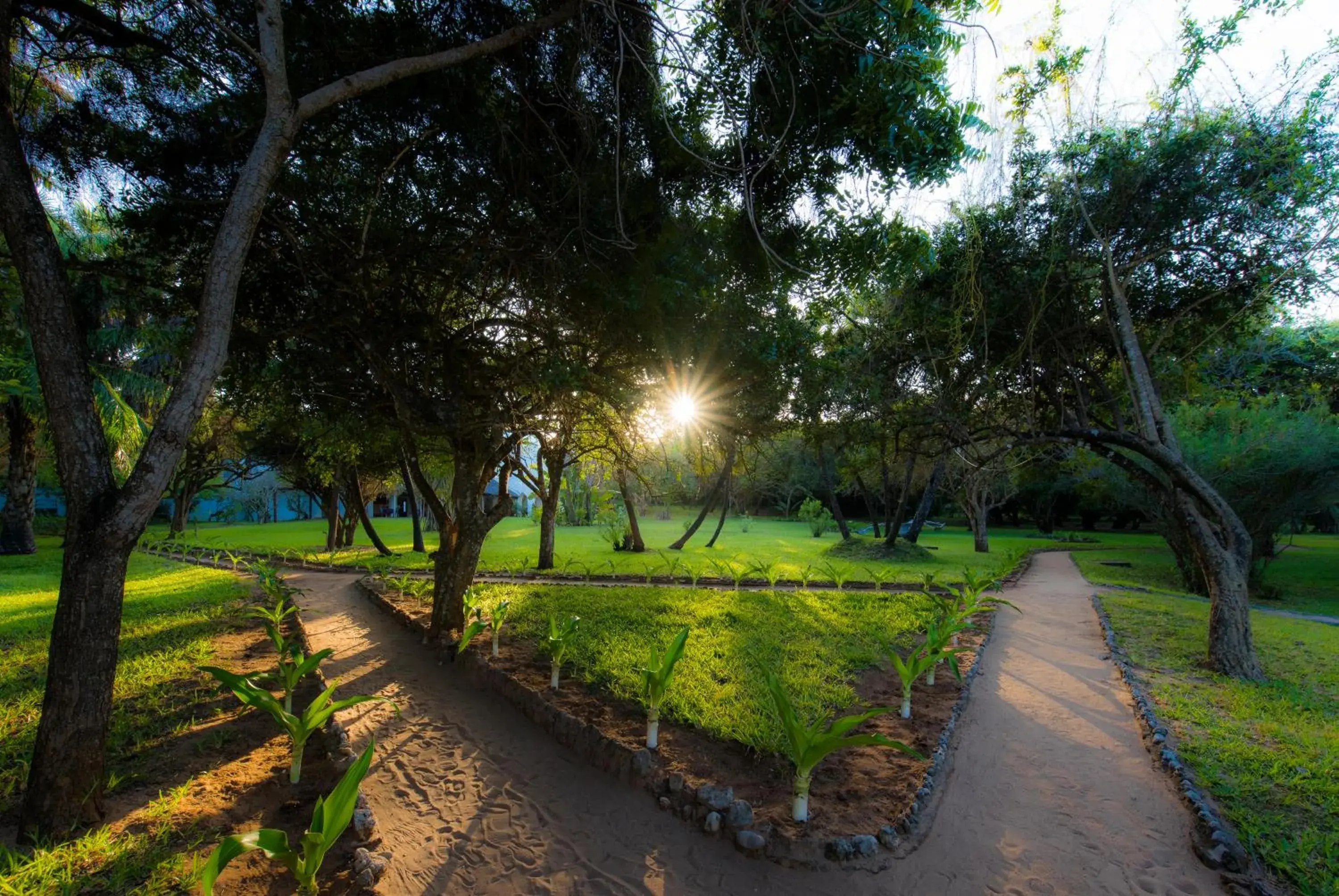 Garden in Amani Beach Hotel