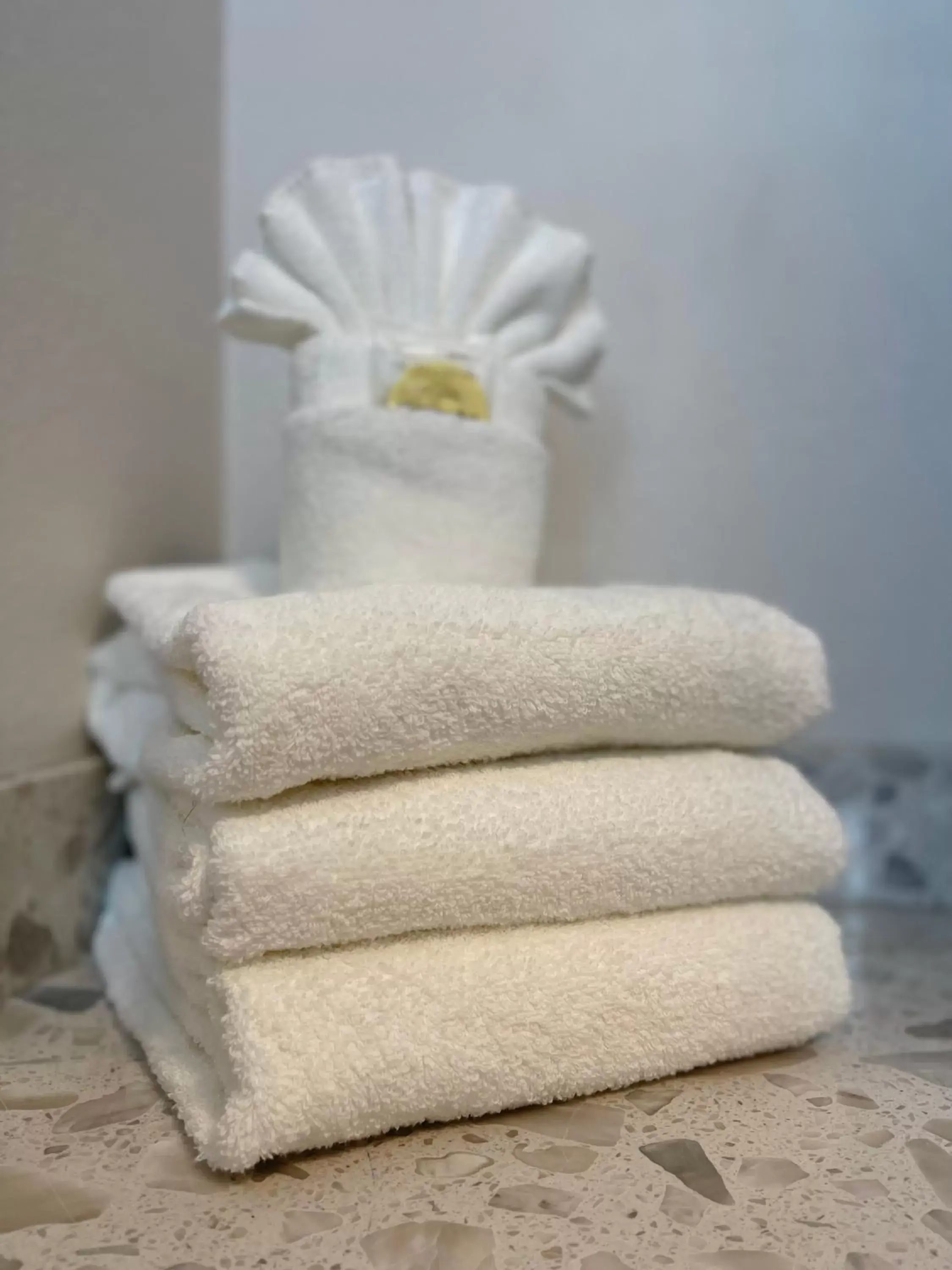 towels, Bathroom in The Historic Brookdale Lodge, Santa Cruz Mountains