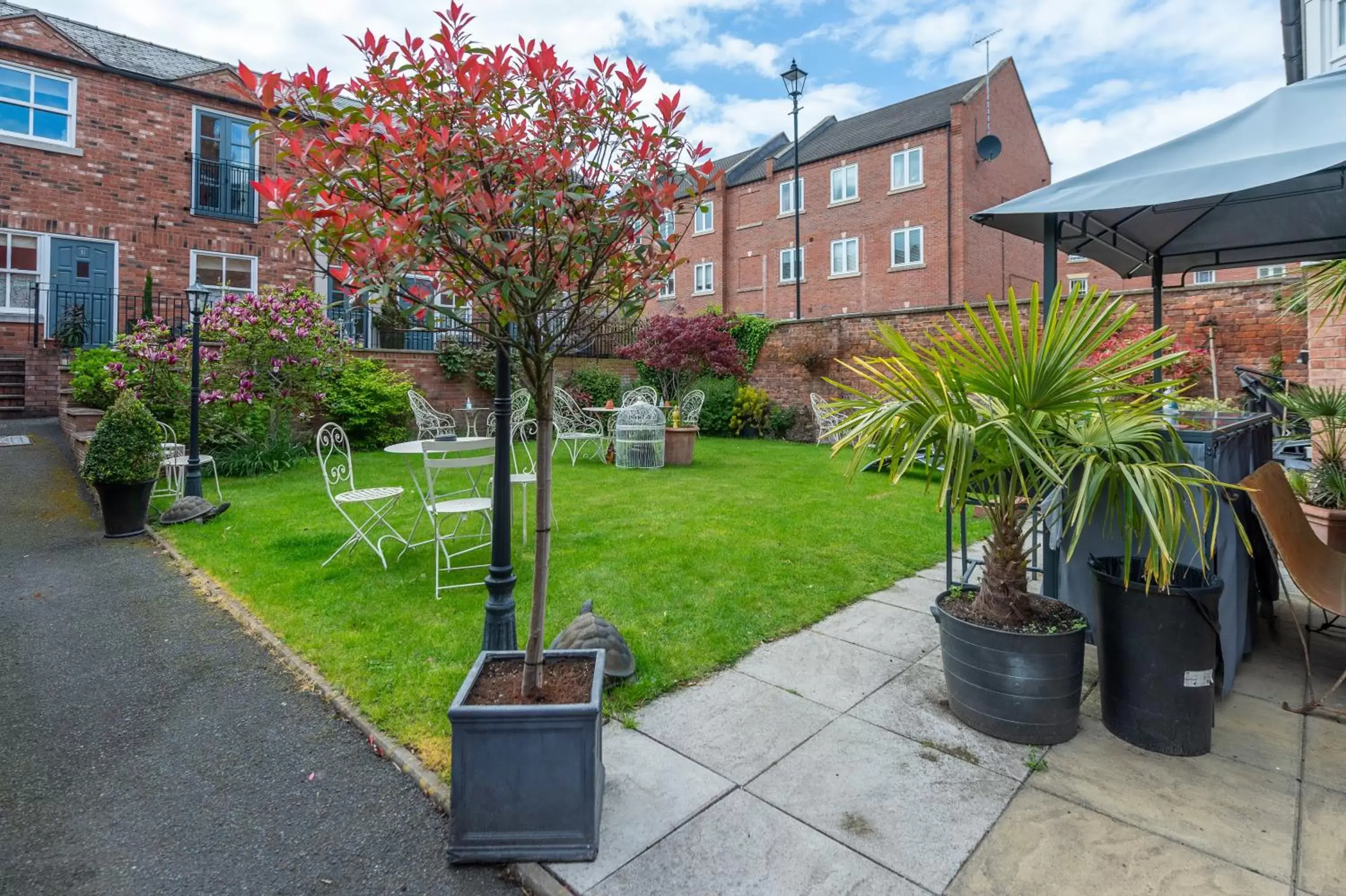 Garden, Property Building in Darwin's Townhouse