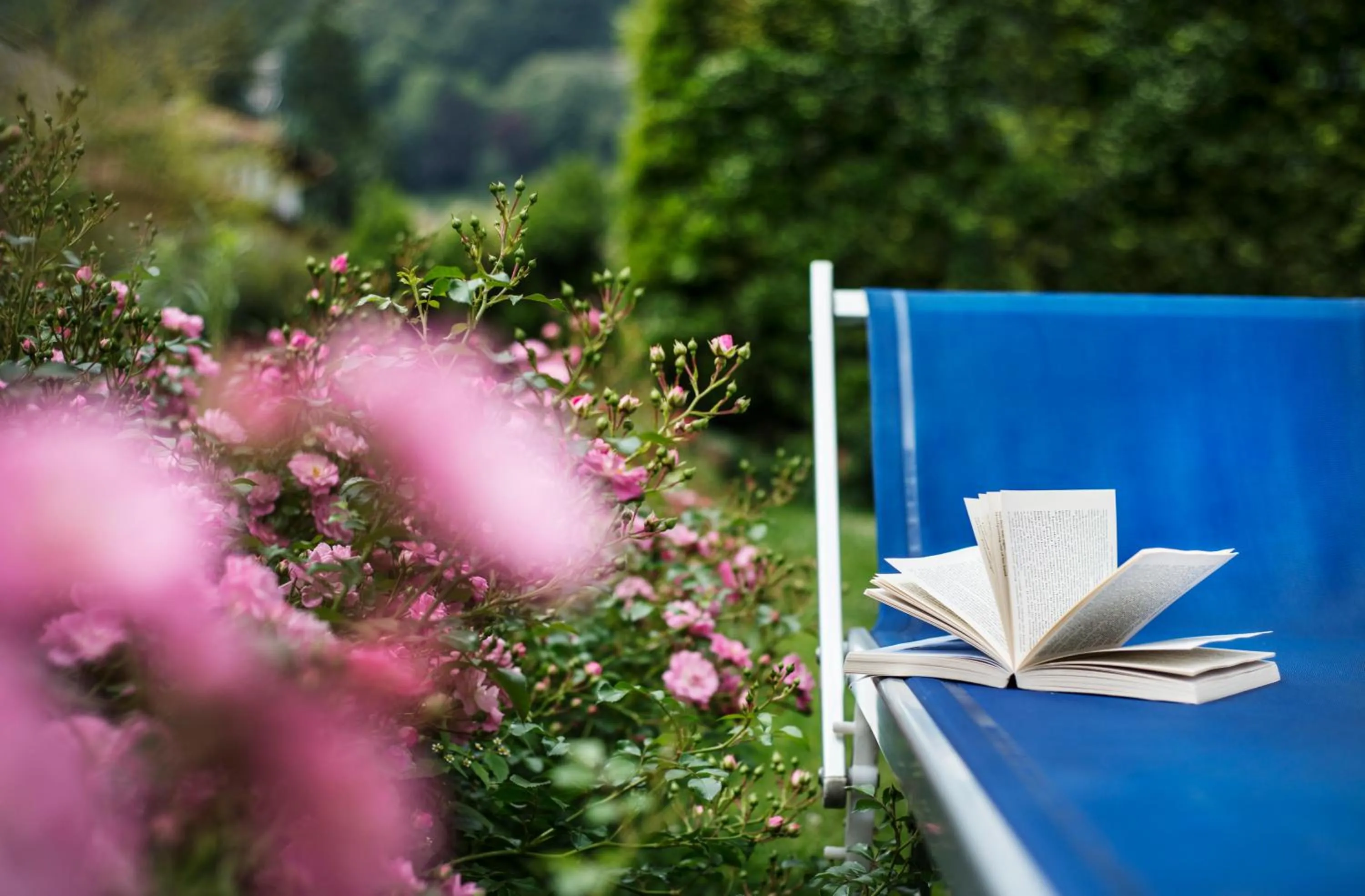 Garden in Hotel Lido La Perla Nera